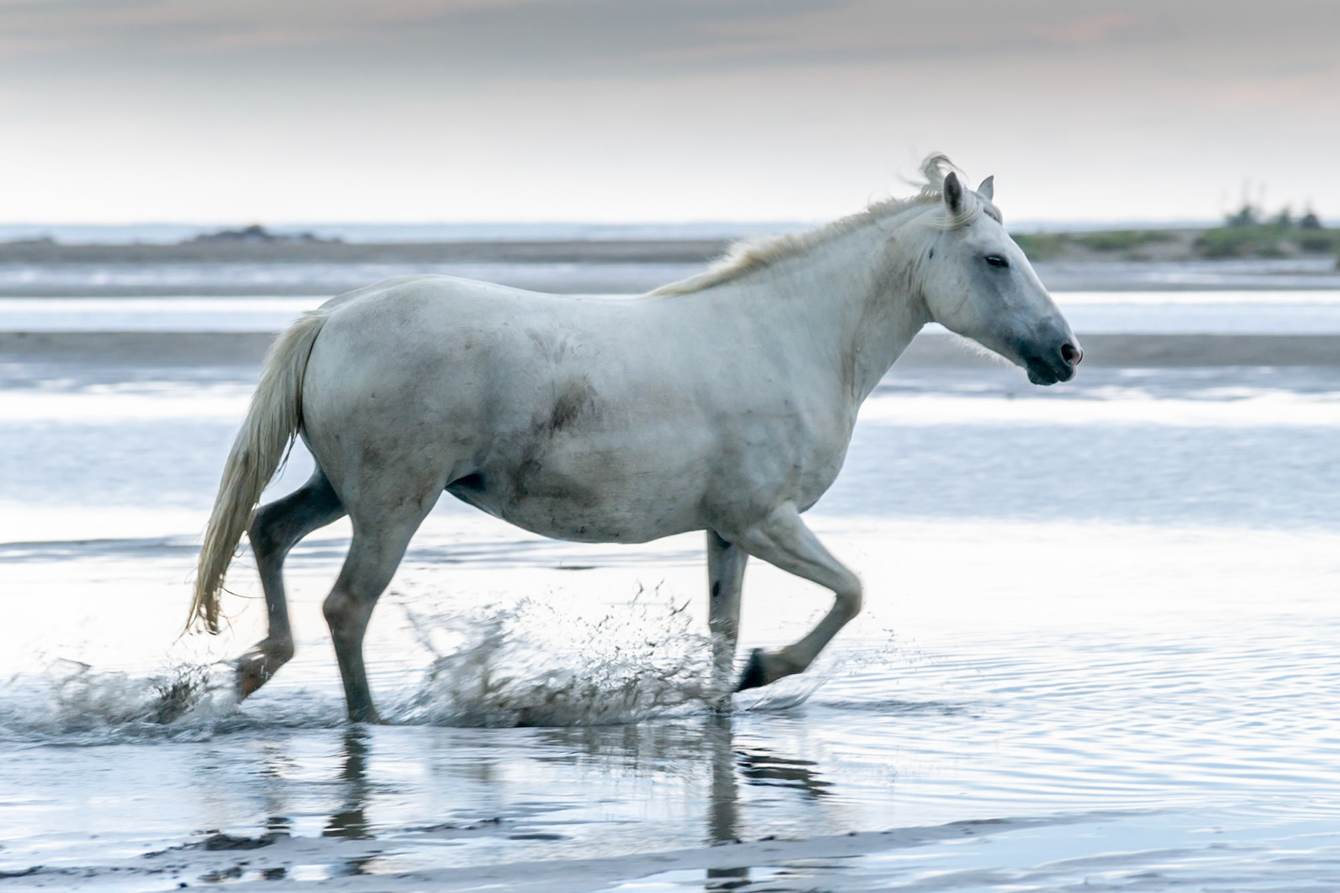 Week-end Camargue