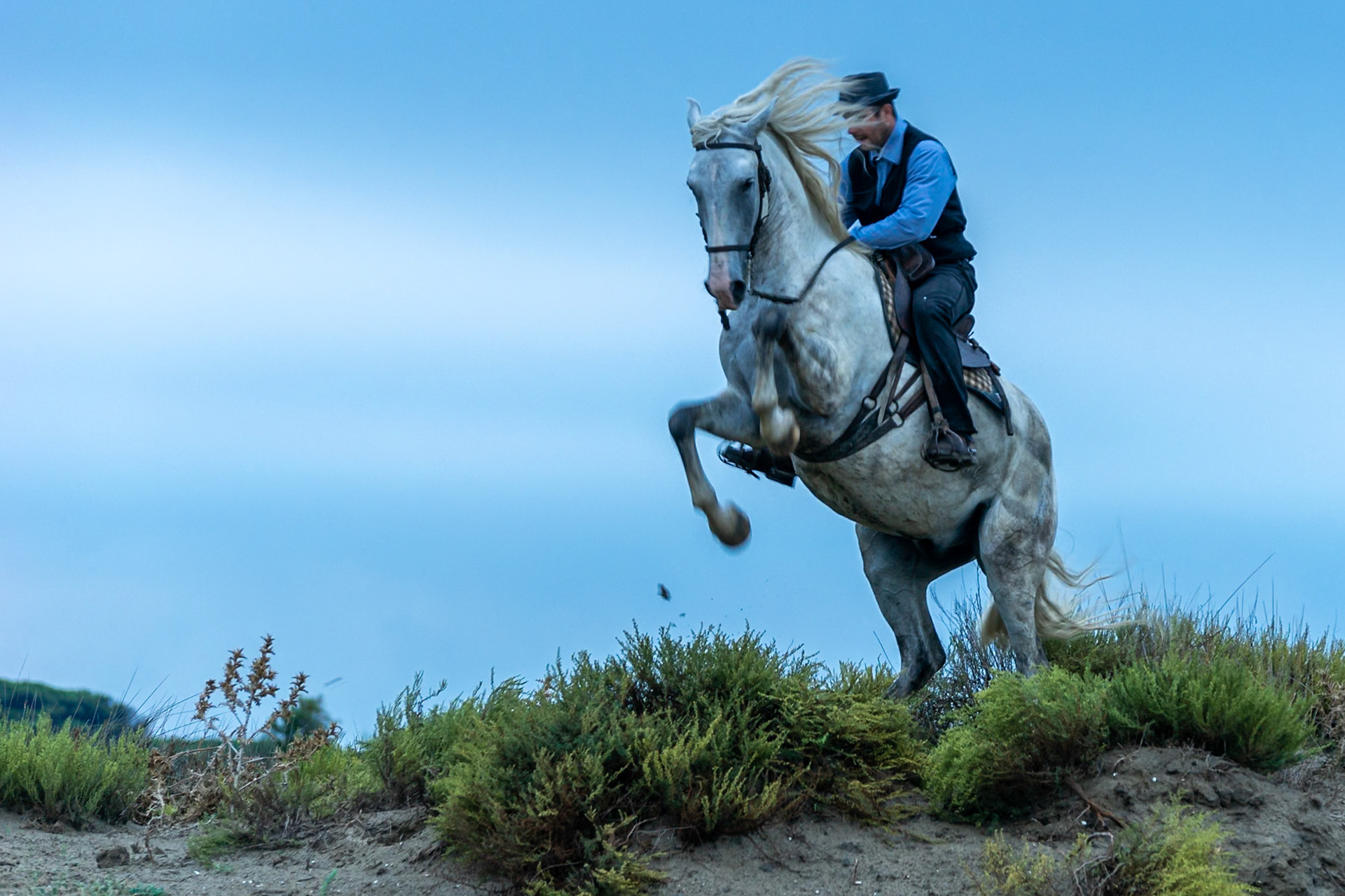 Week-end Camargue