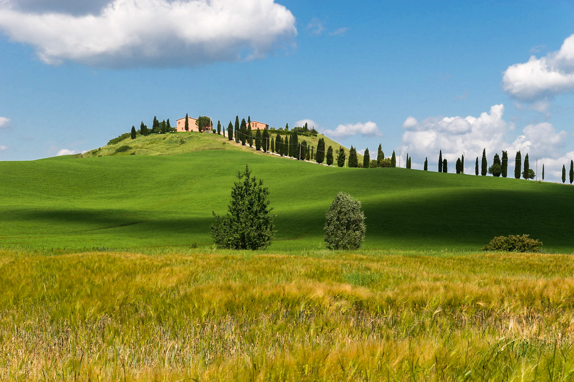 La maison aux cyprès - Toscane - Italie