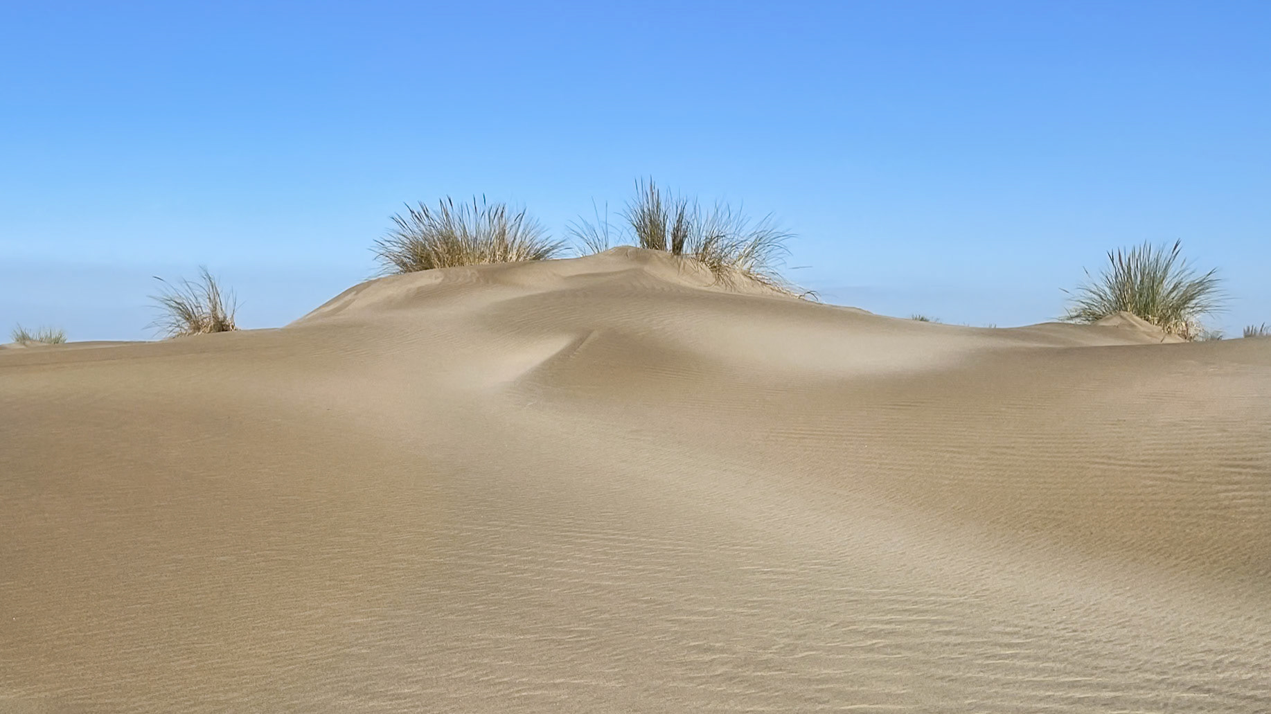 Prise de vue : iPhone 12 Pro via FirstLight