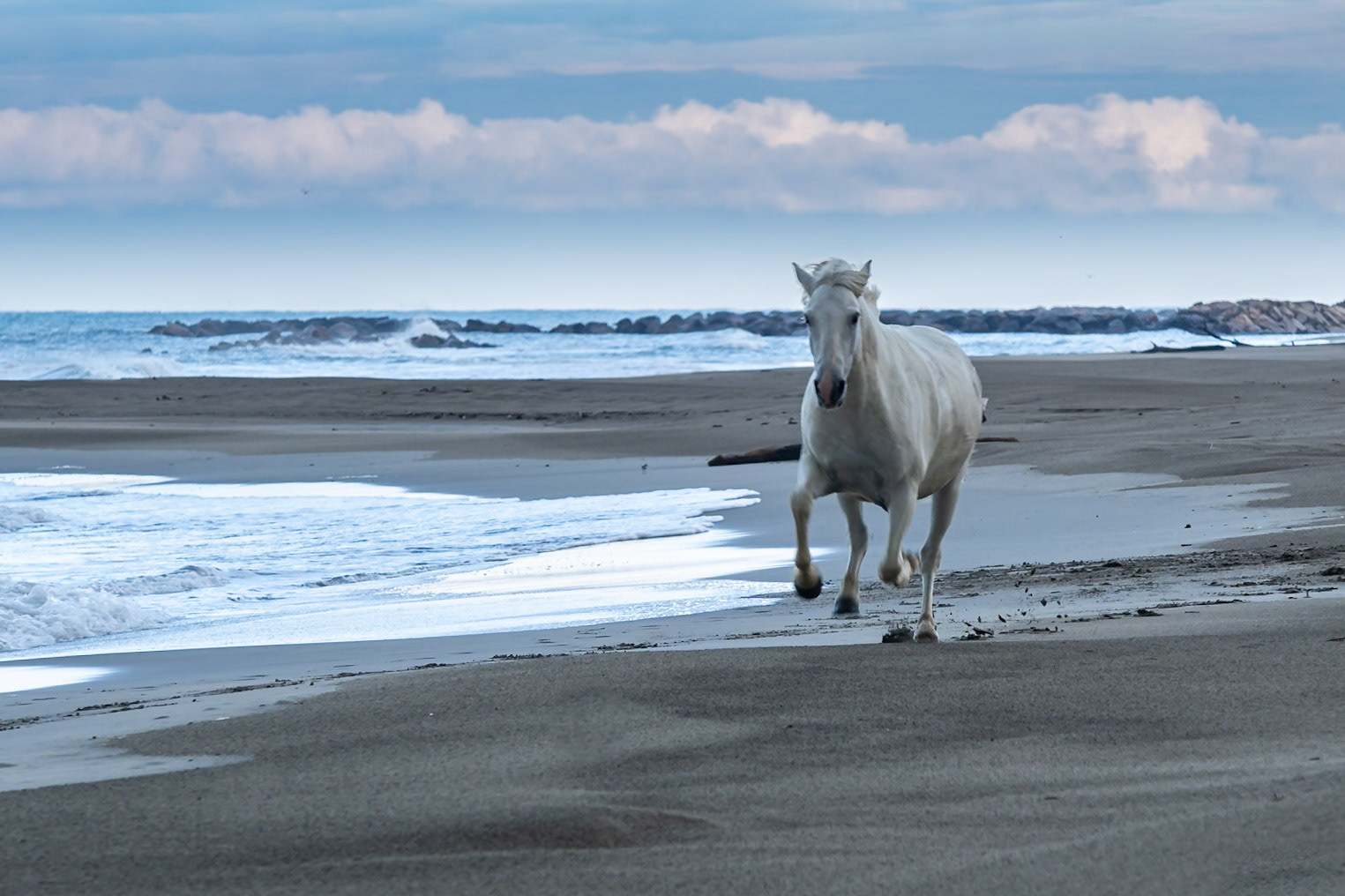 Week-end Camargue