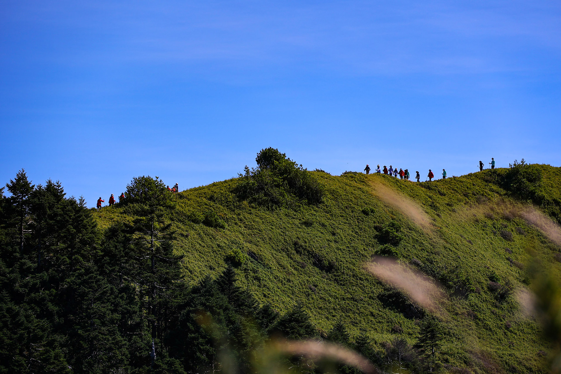合歡西峰隨隊攝影 - 康橋國際學校百岳紀實 - 浩宇傳媒 - 攝影師方一宇(黑貓)