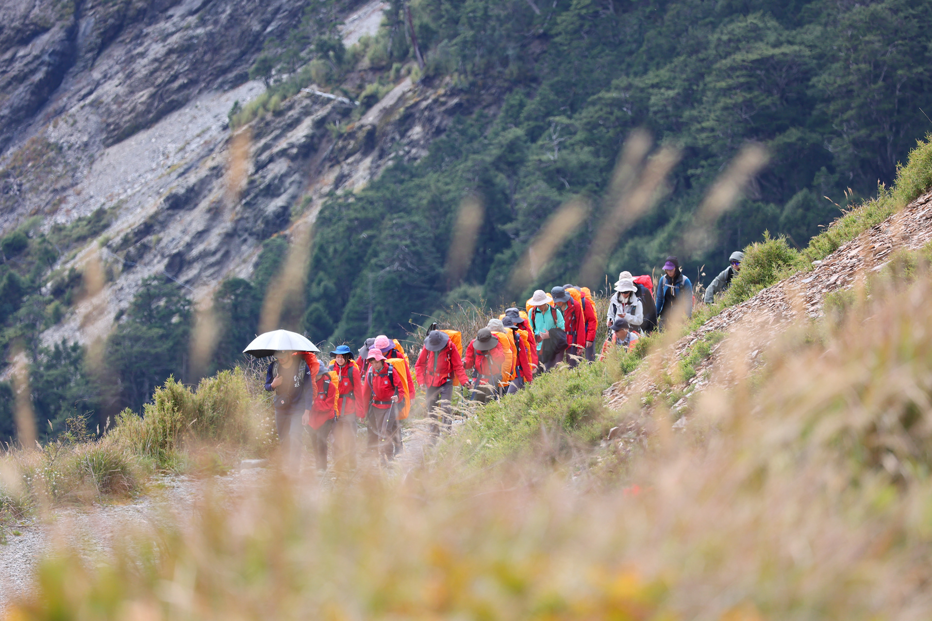 合歡主峰隨隊攝影 - 百岳紀實 - 浩宇傳媒 - 攝影師方一宇(黑貓)