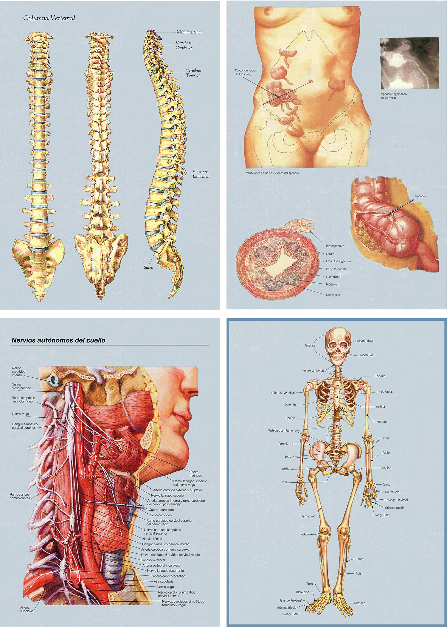 Hospital Poster