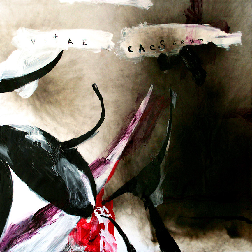 Vitae Caesarum “Life of Caesar” – Fire, acrylic, and resin on aluminum and wood panel. 121.92 x 121.92 cm. – 48 x 48 in.