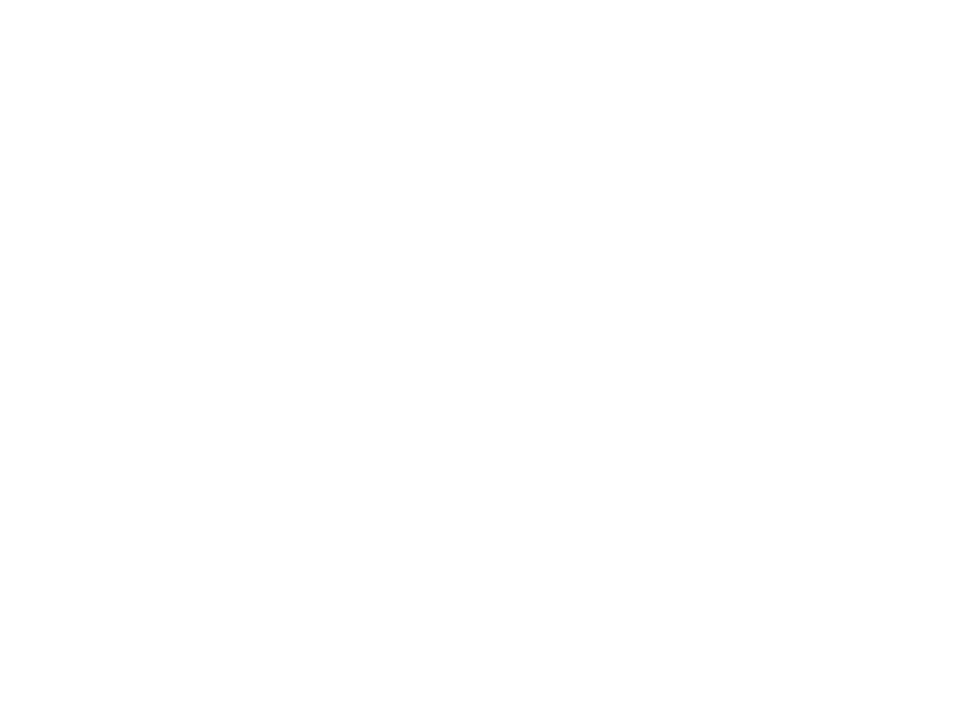 miesvision