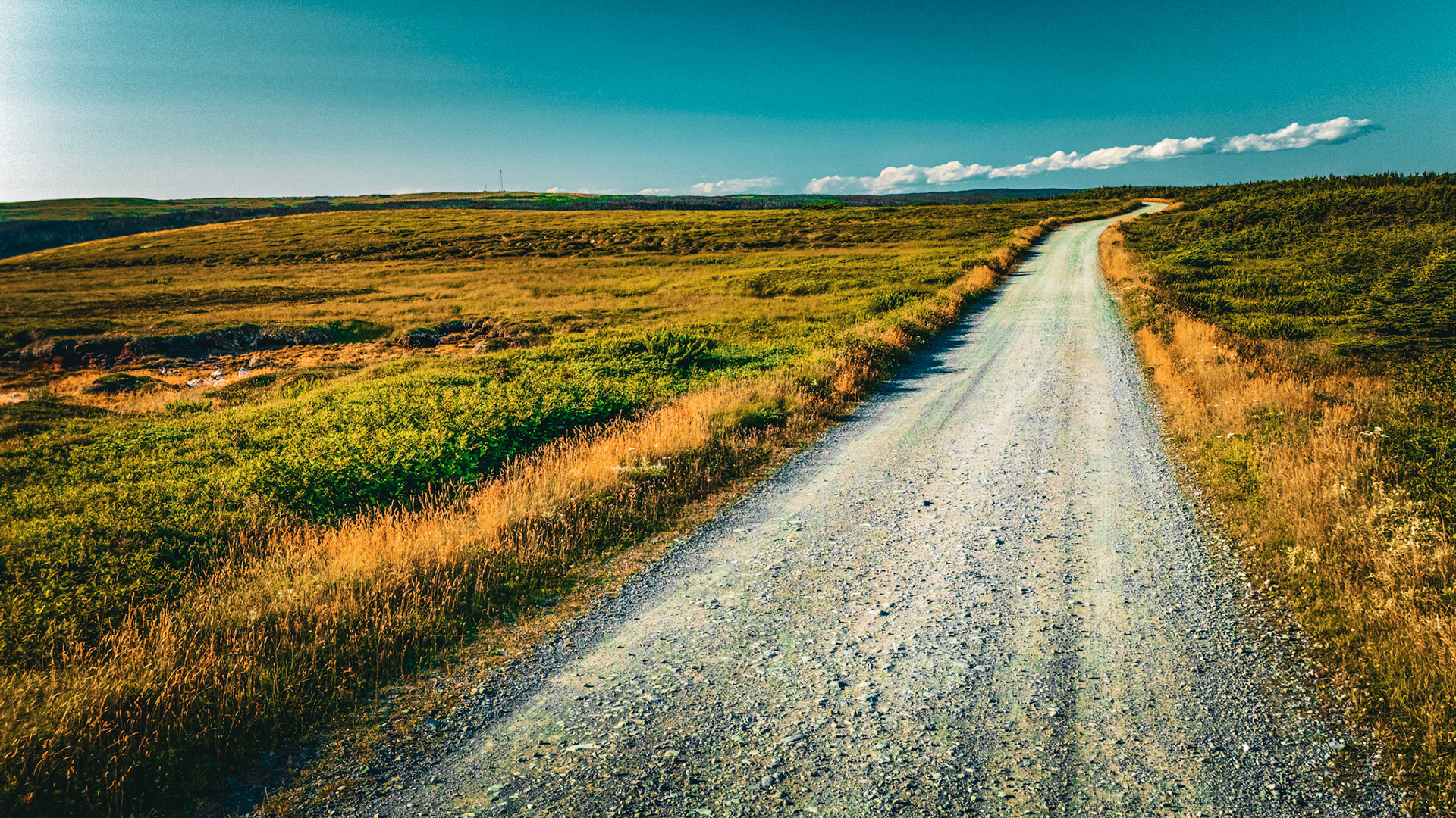 The Long Way Home