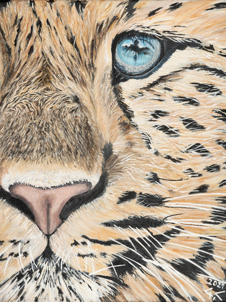 Leopard