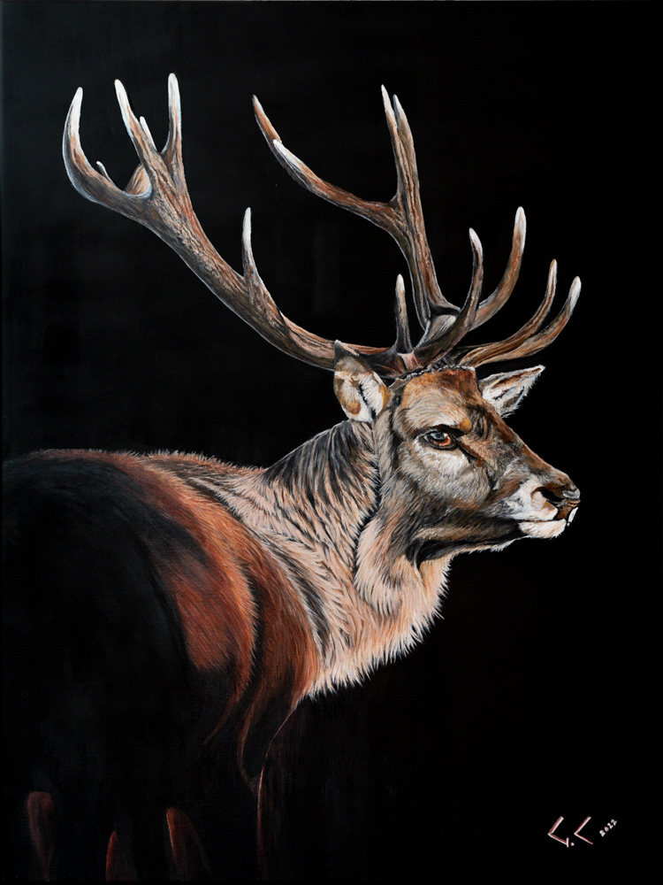 Hirsch