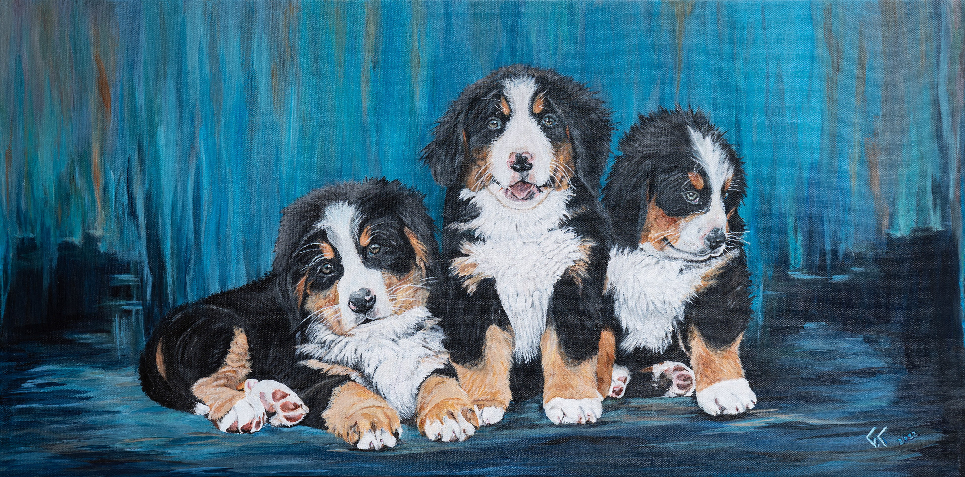 Berner Sennenhunde