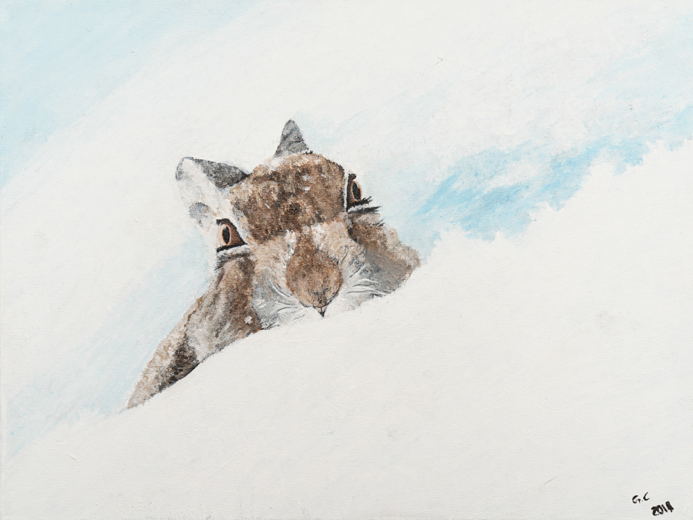 Brauner Hase