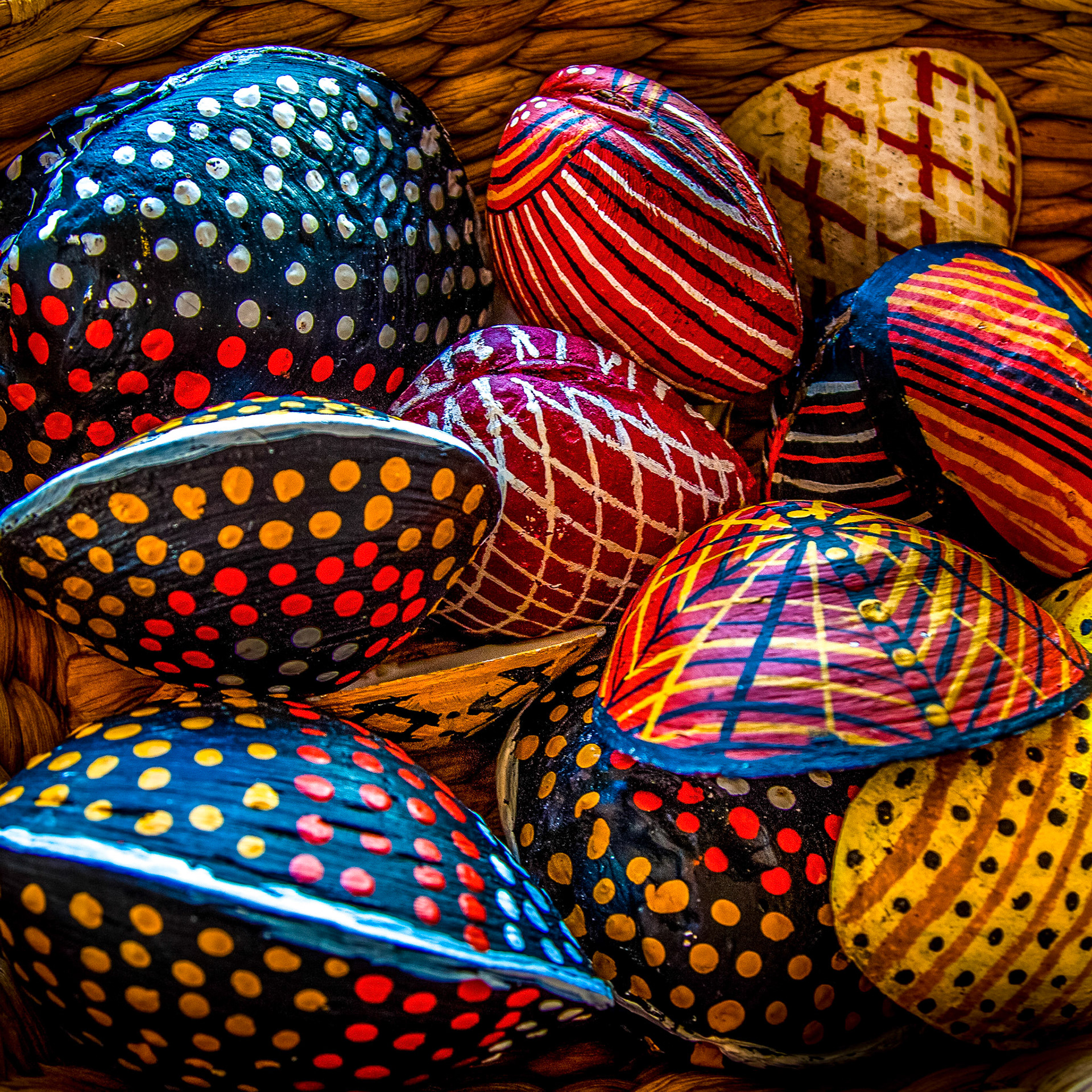 Painted shells, Northern Territory