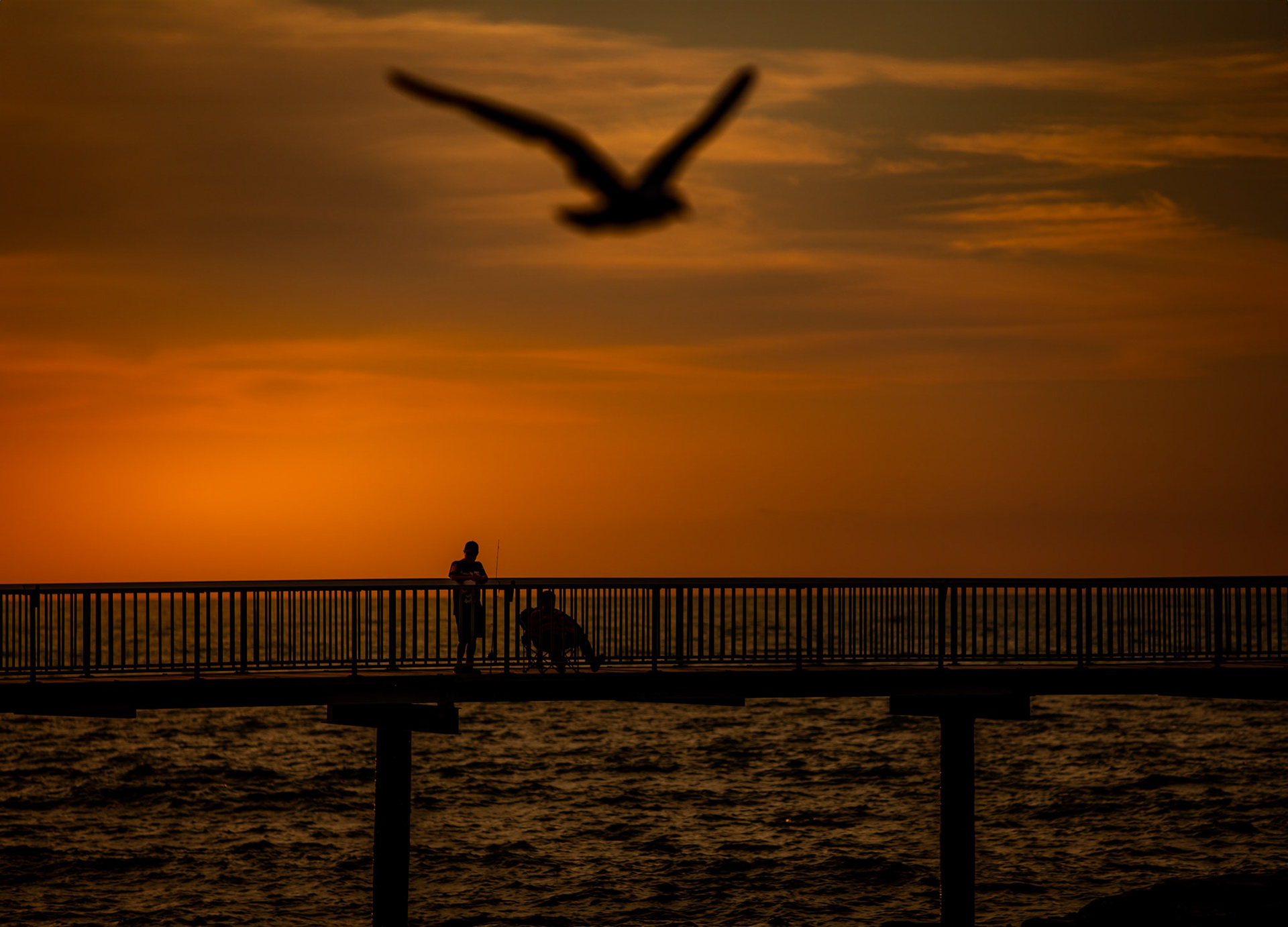 Nightcliff foreshore