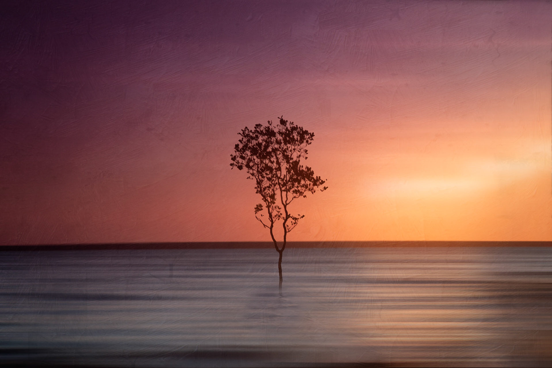 Tree in the sea