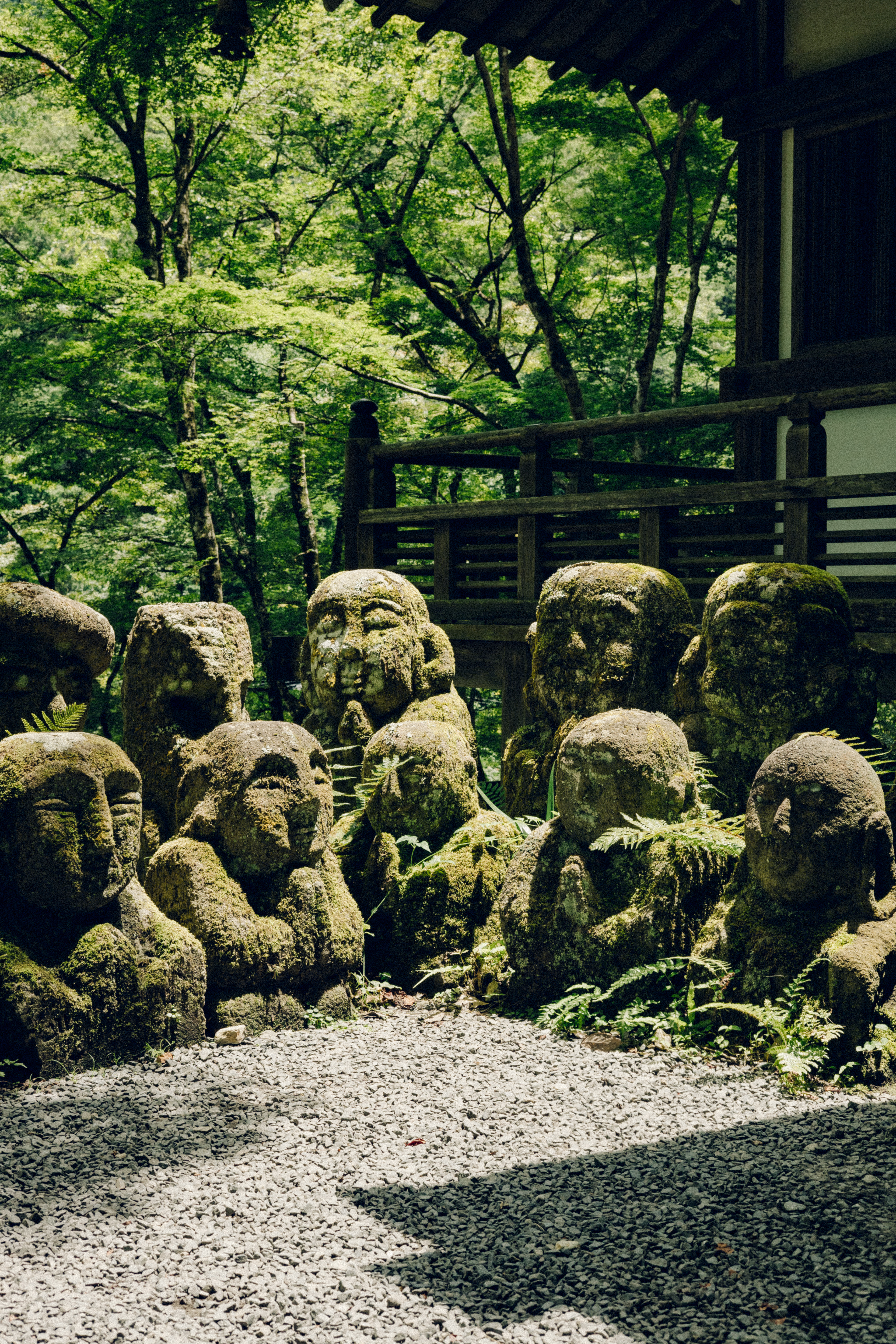 Otagi Nenbutsuji (kyoto)