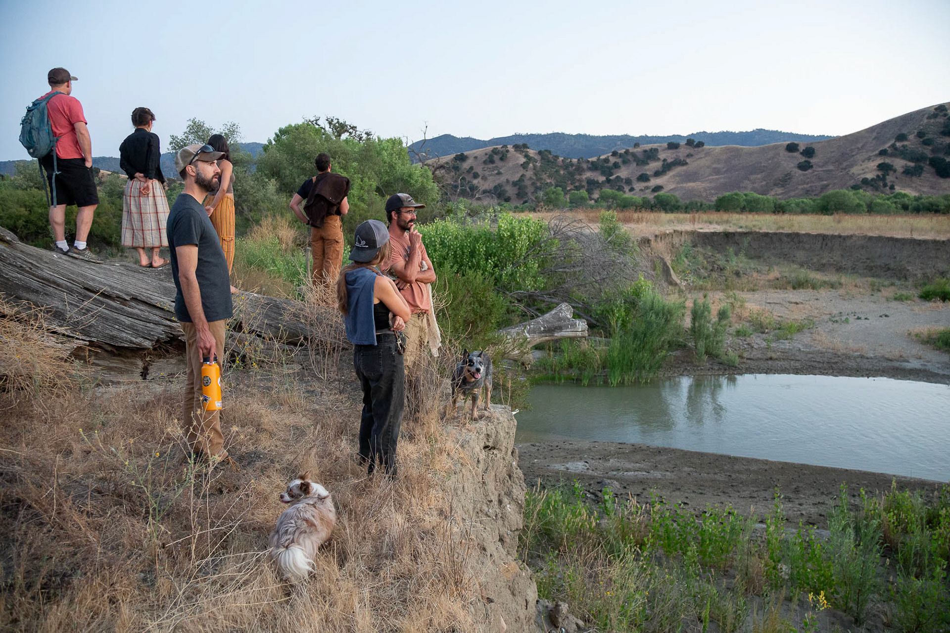 Paicines Ranch, Nature Engineers, and Swift Water Design crew along with their dogs gather at a turn of the San Benito River within the Paicines Ranch property in Paicines, California, United States. The river in this location eroded the side bank until it collapsed several meters during a previous rainy season.  The level and flow of the water can get very high in rivers in California after winter storms. The ranch managers decided to try to prevent further collapse of the river banks by building Beaver Dam Analogs (BDAs) to spread the water in the system.  July 23, 2024.
