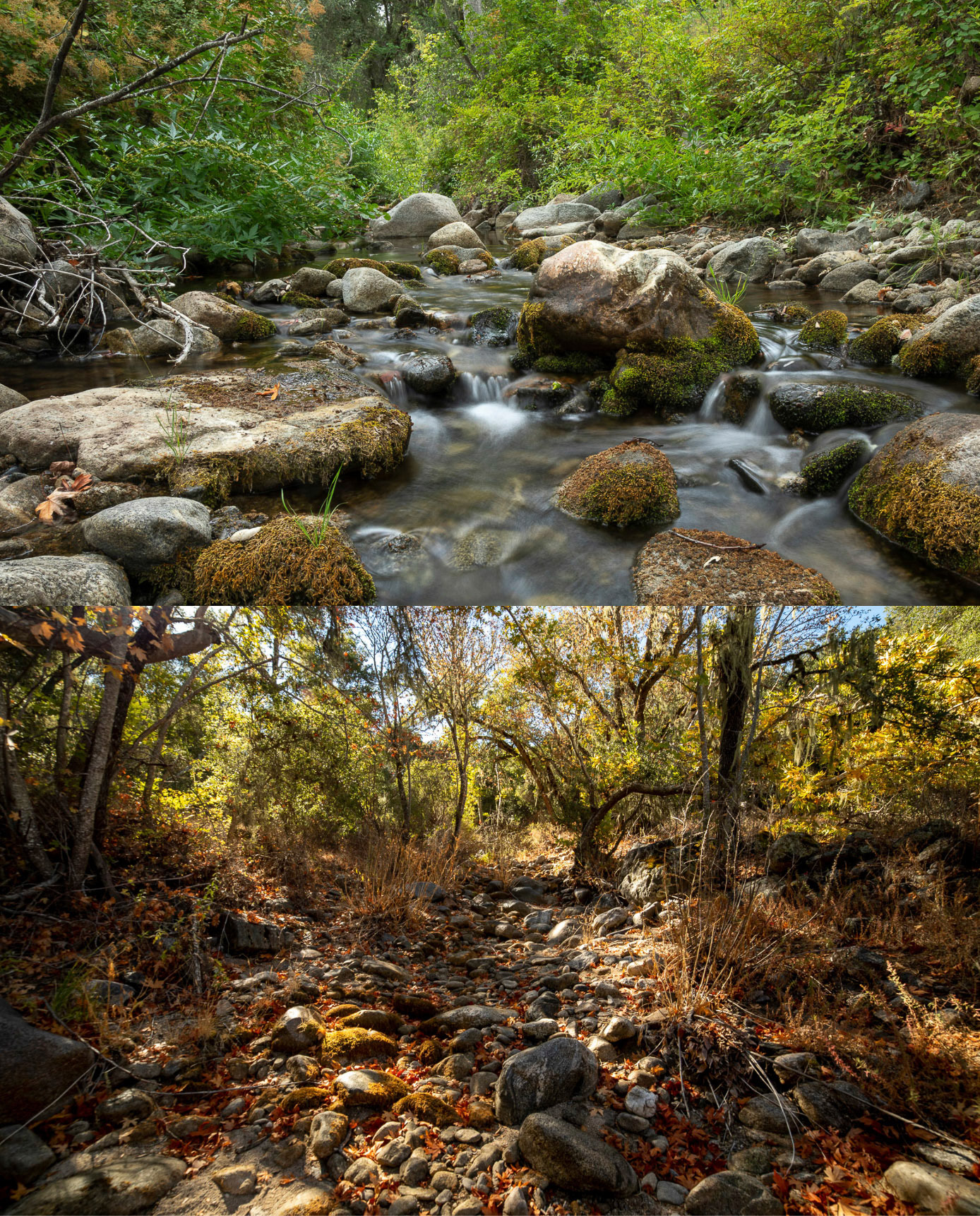 Upper image: Finch creek during the wet season on September 2, 2023. Lower image: Finch creek during the dry season on October 27, 2021. The Water Year 2021 was the second driest year on record for California based on statewide runoff.