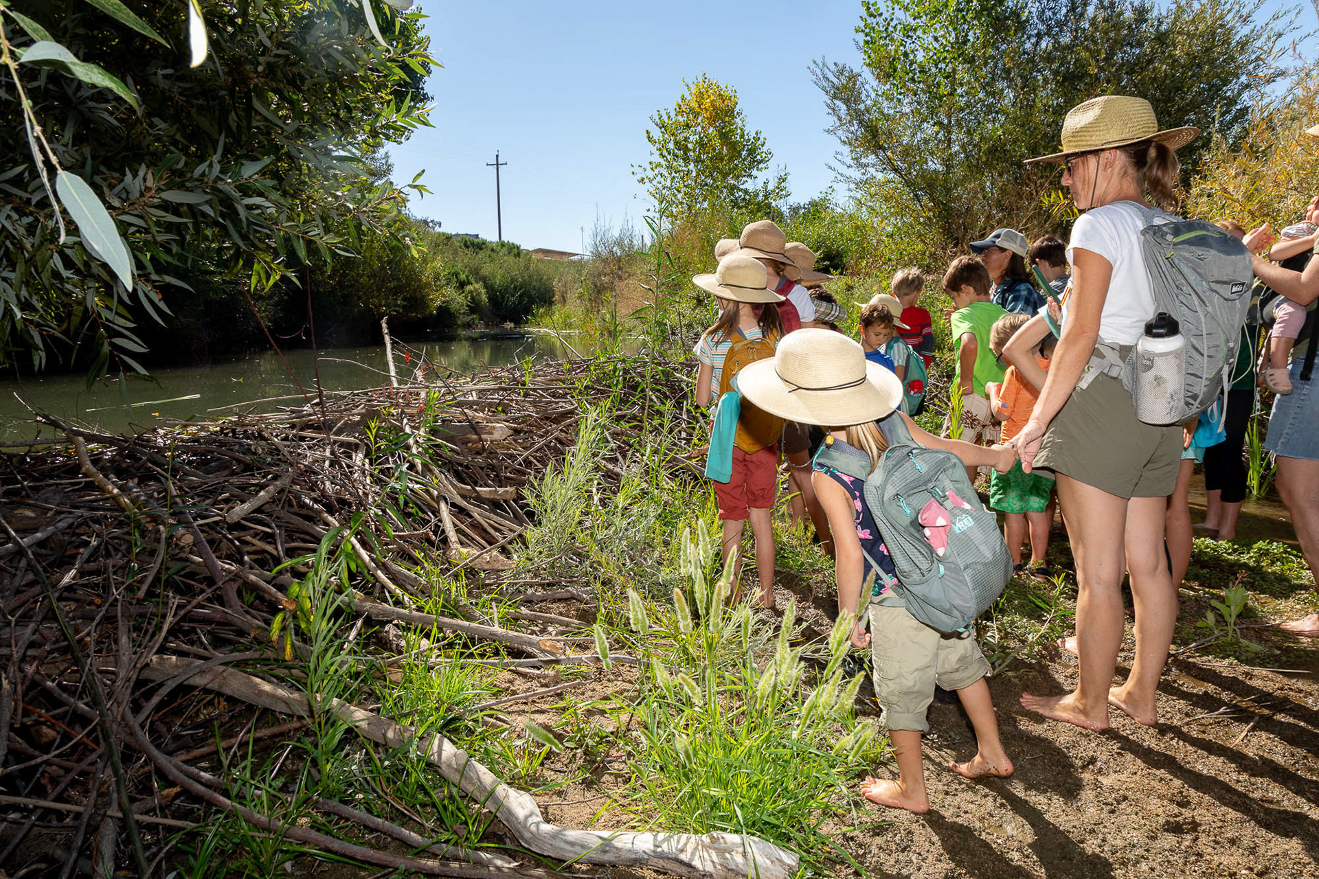 A group of children and their mothers look at a beaver dam and pond in Atascadero, California, United States. This group of homeschooled children ranged from 2 to 13 years old and were guided by Audrey Taub, executive director of the Beaver Brigade. They participated in a nature walk in which they learned about the natural history and the importance of beavers for the ecosystem and for water availability in their town. September 26, 2024.