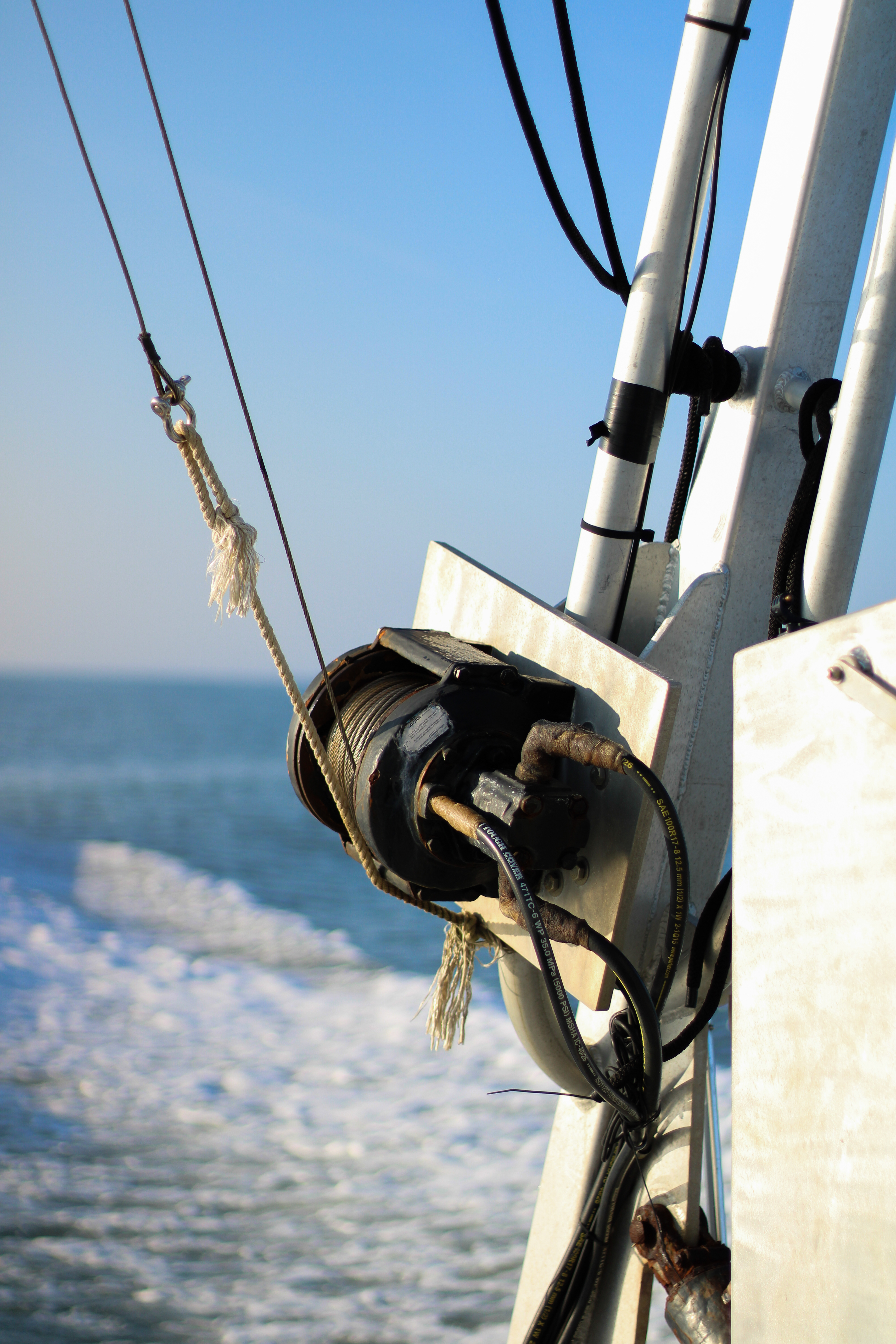 Research Experience in Marine Science Cruise