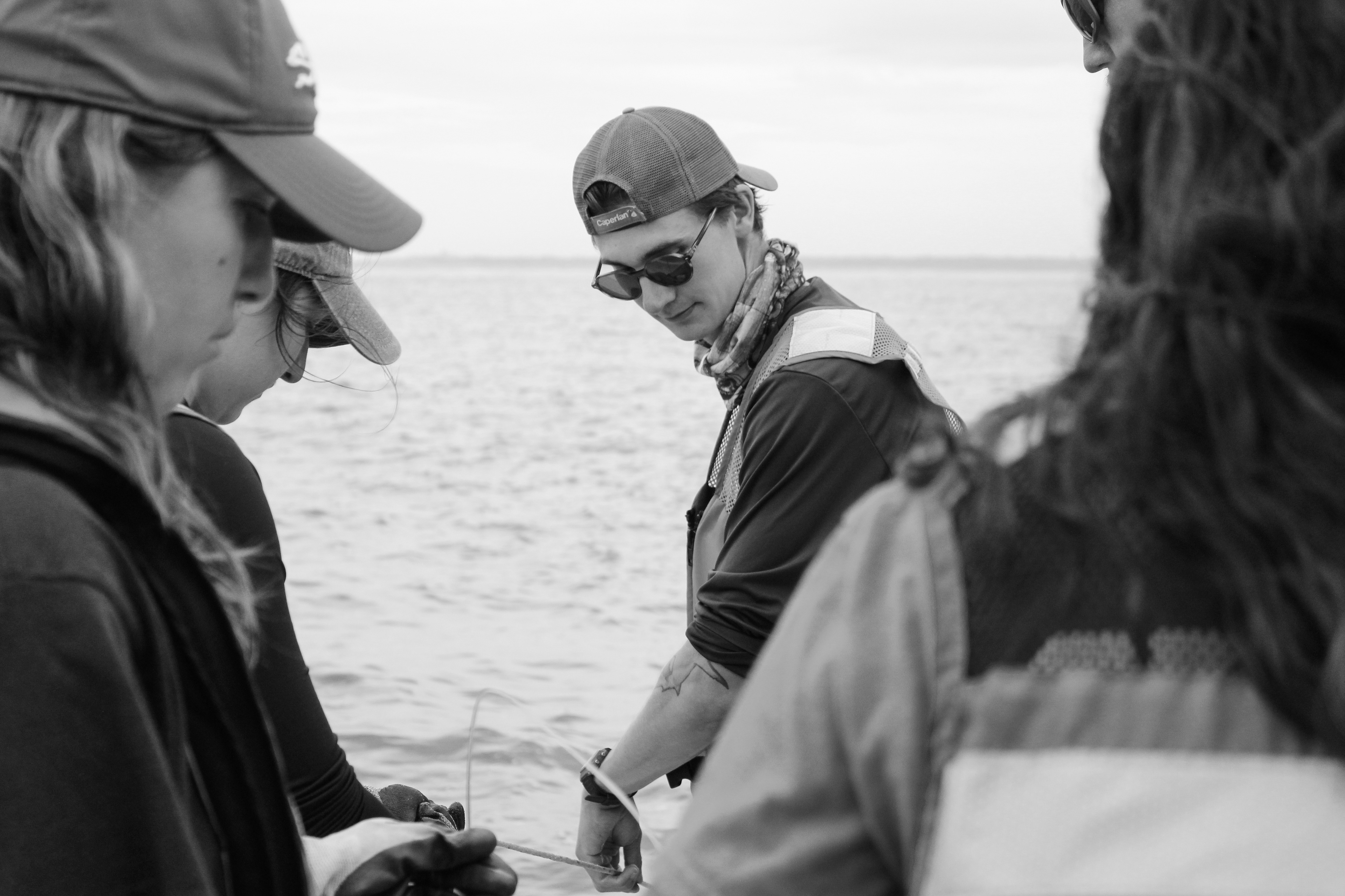 Longline Fishing for Apex Predators
