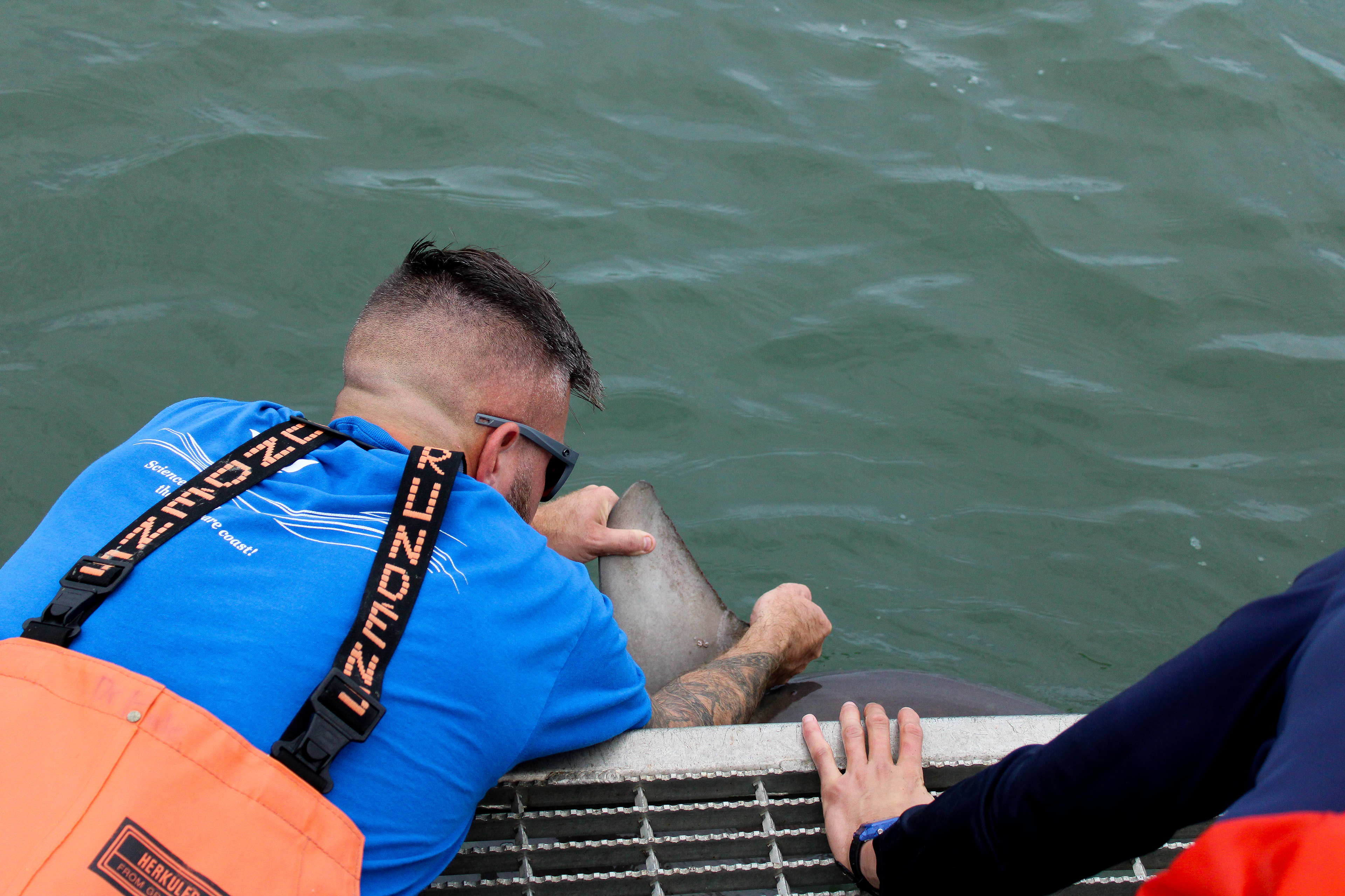 Longline Fishing for Apex Predators