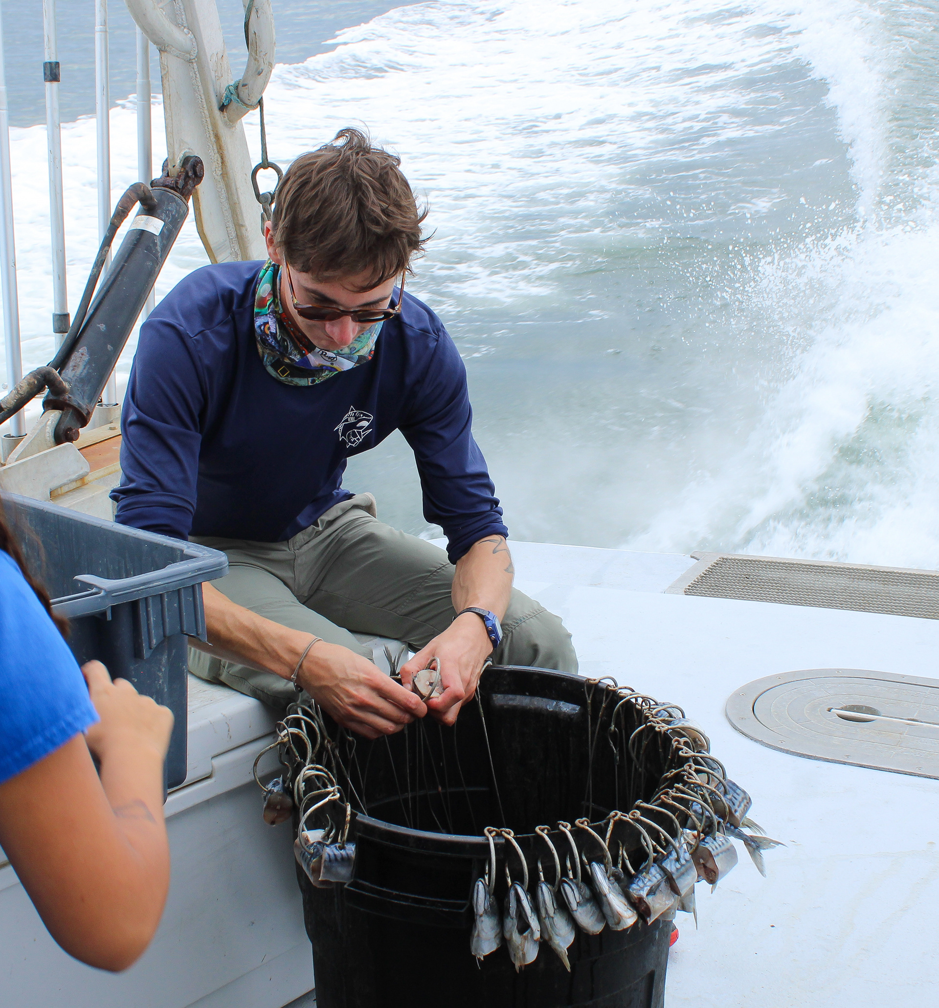 Longline Fishing for Apex Predators