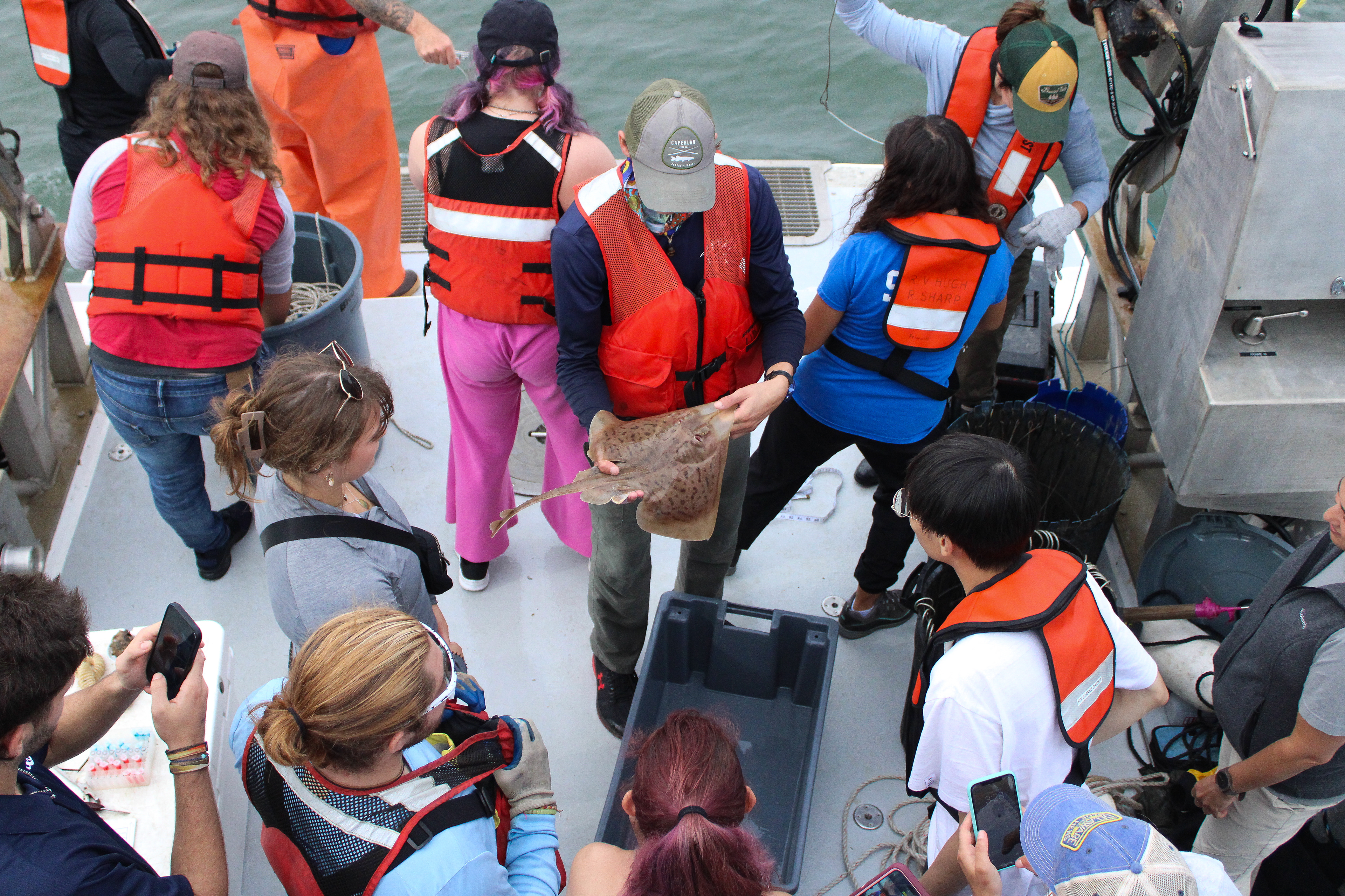 Longline Fishing for Apex Predators