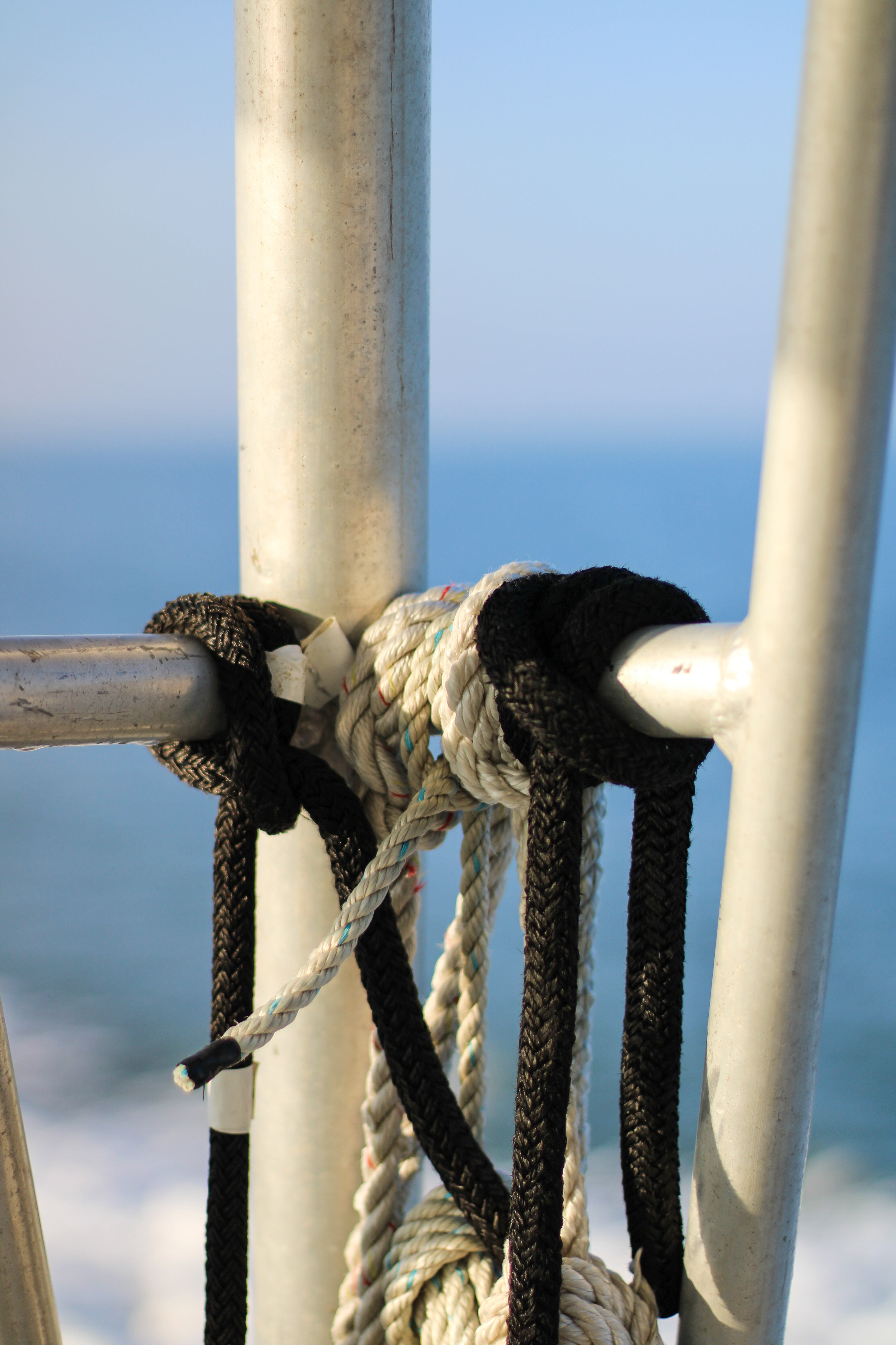 Research Experience in Marine Science Cruise