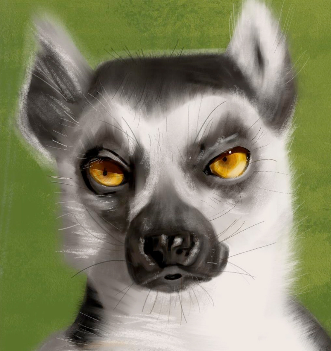 Practice sketch