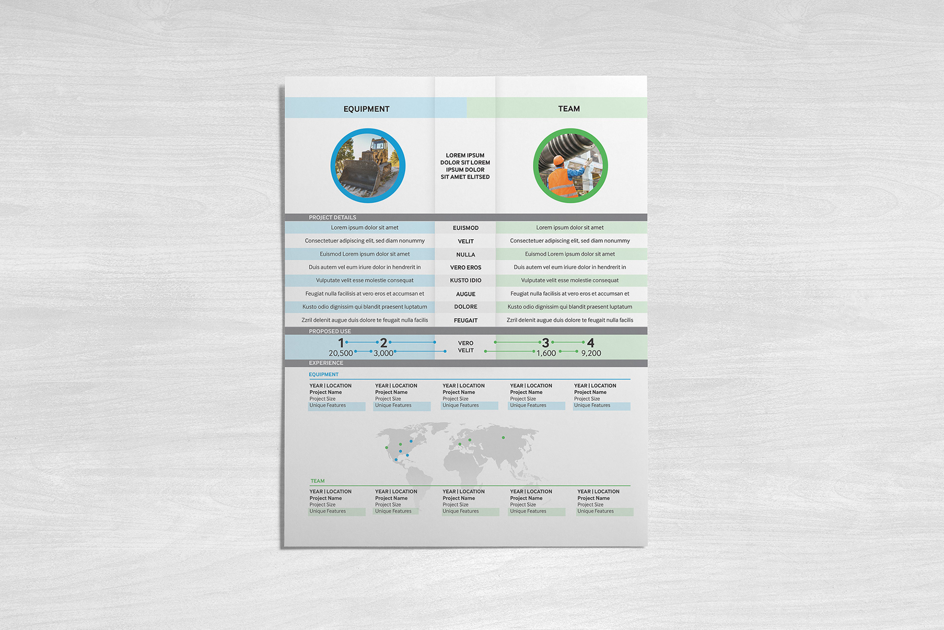 RFP Custom Infographic