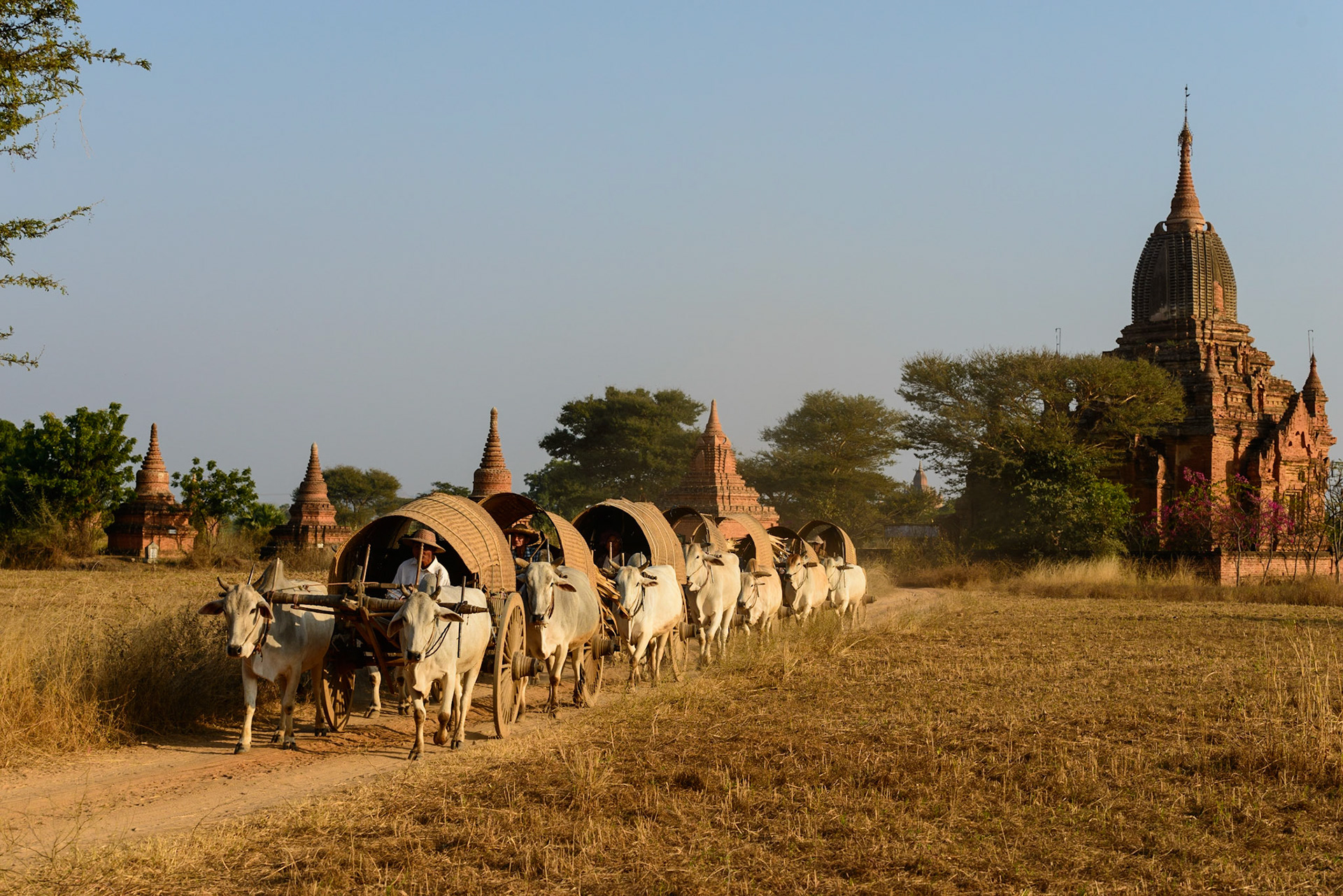 The Road to Bagan