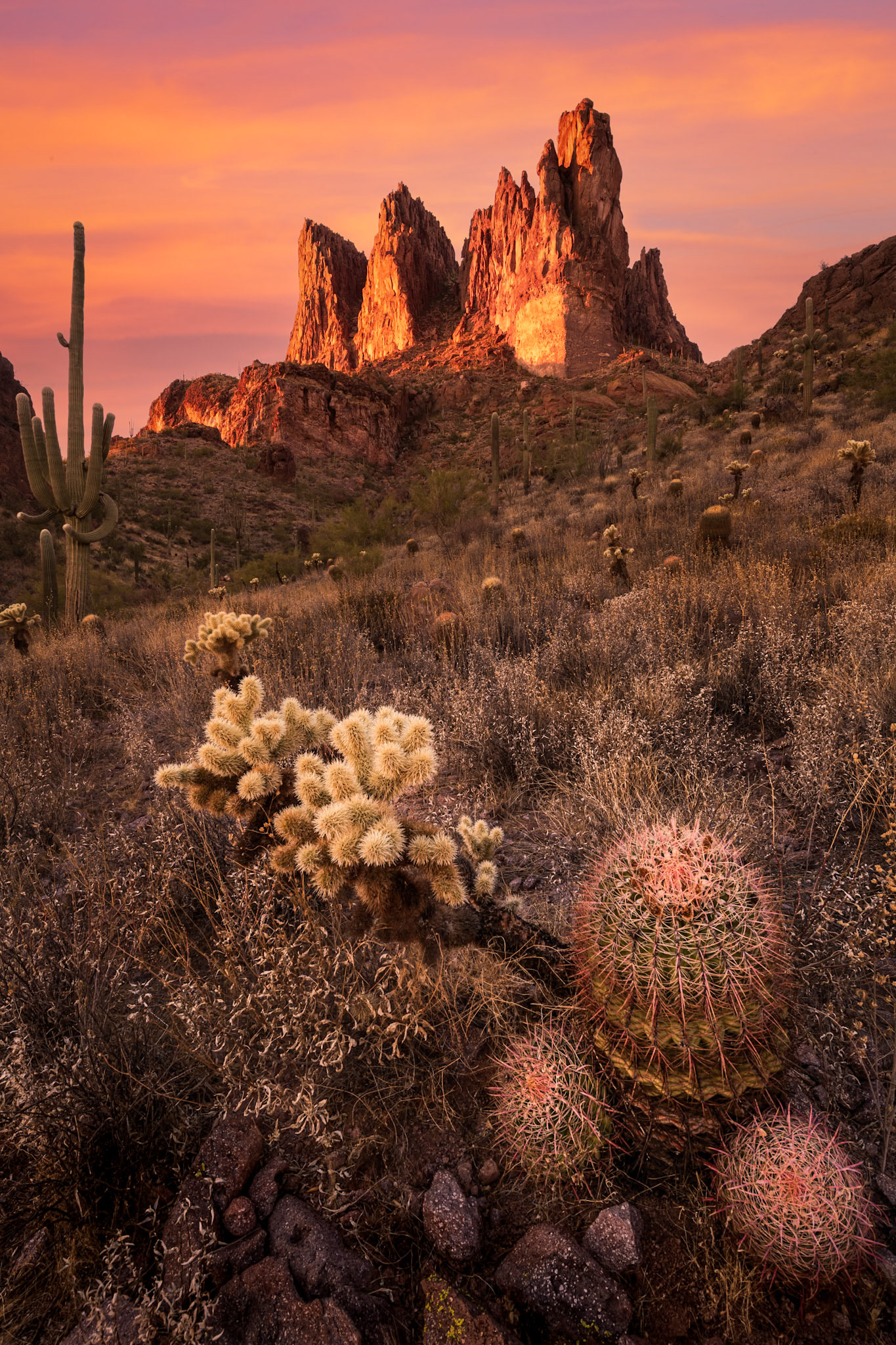 Desert Cathedral
