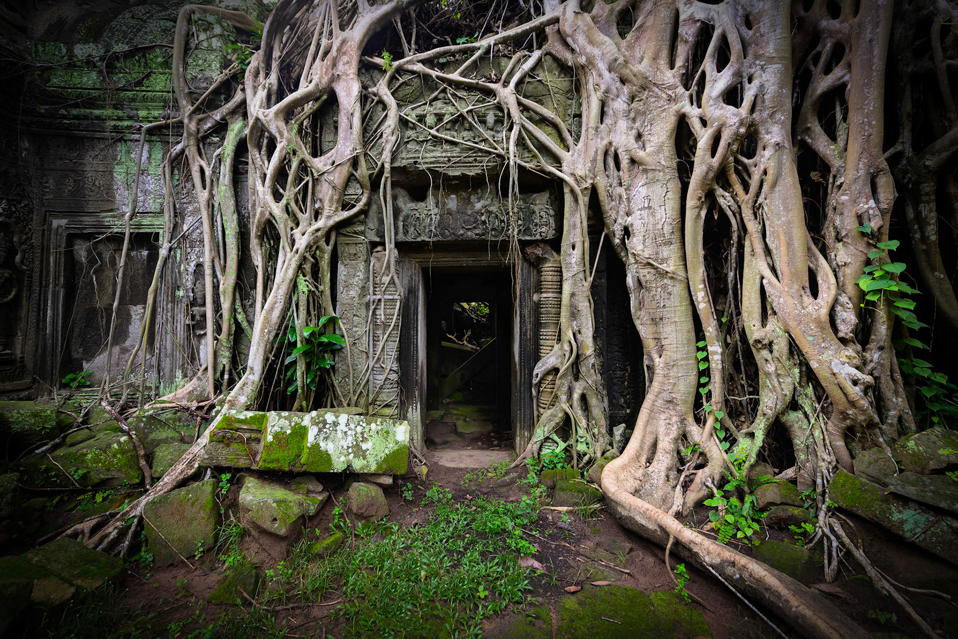 Roots of Time