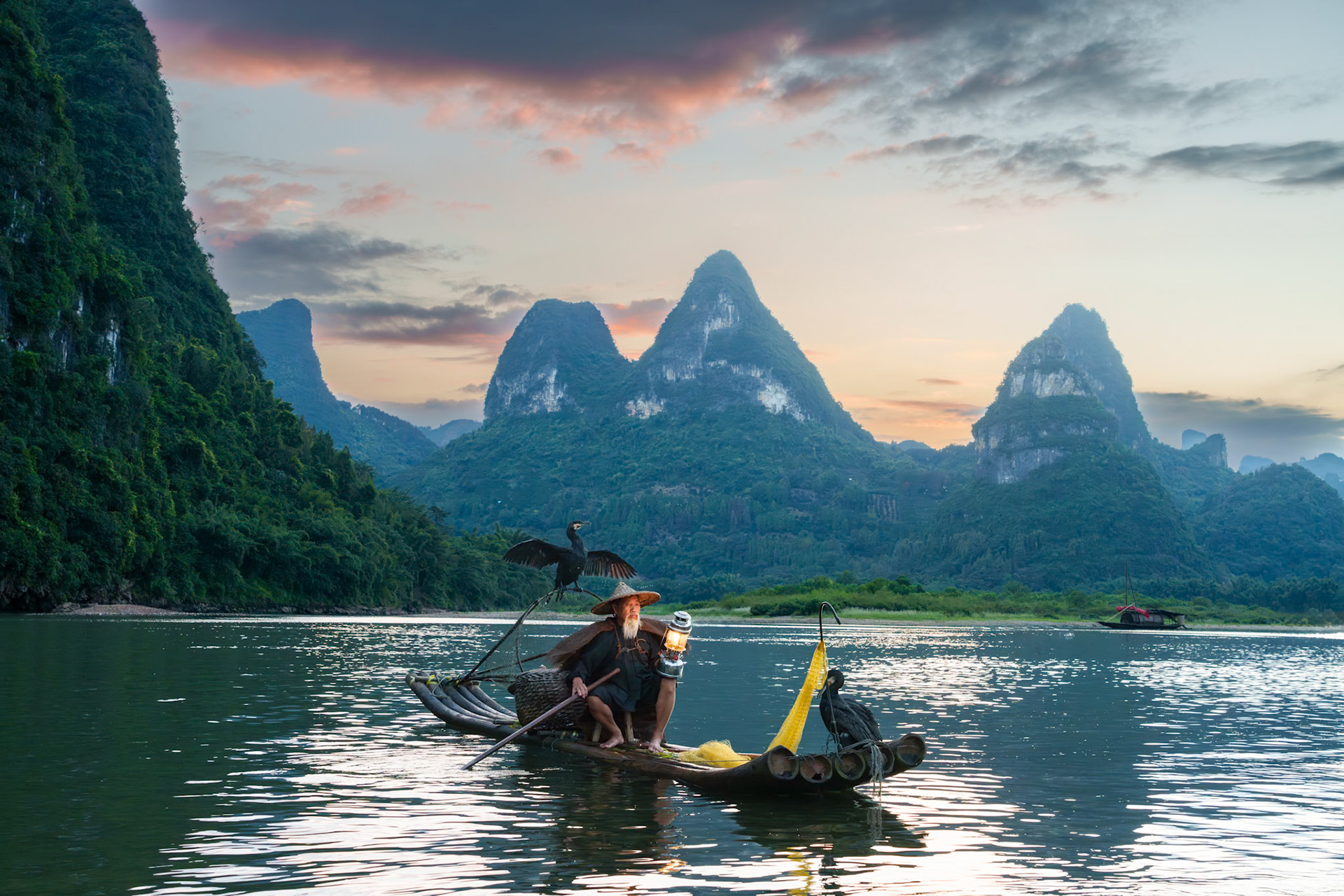 Fisherman with his Comerants