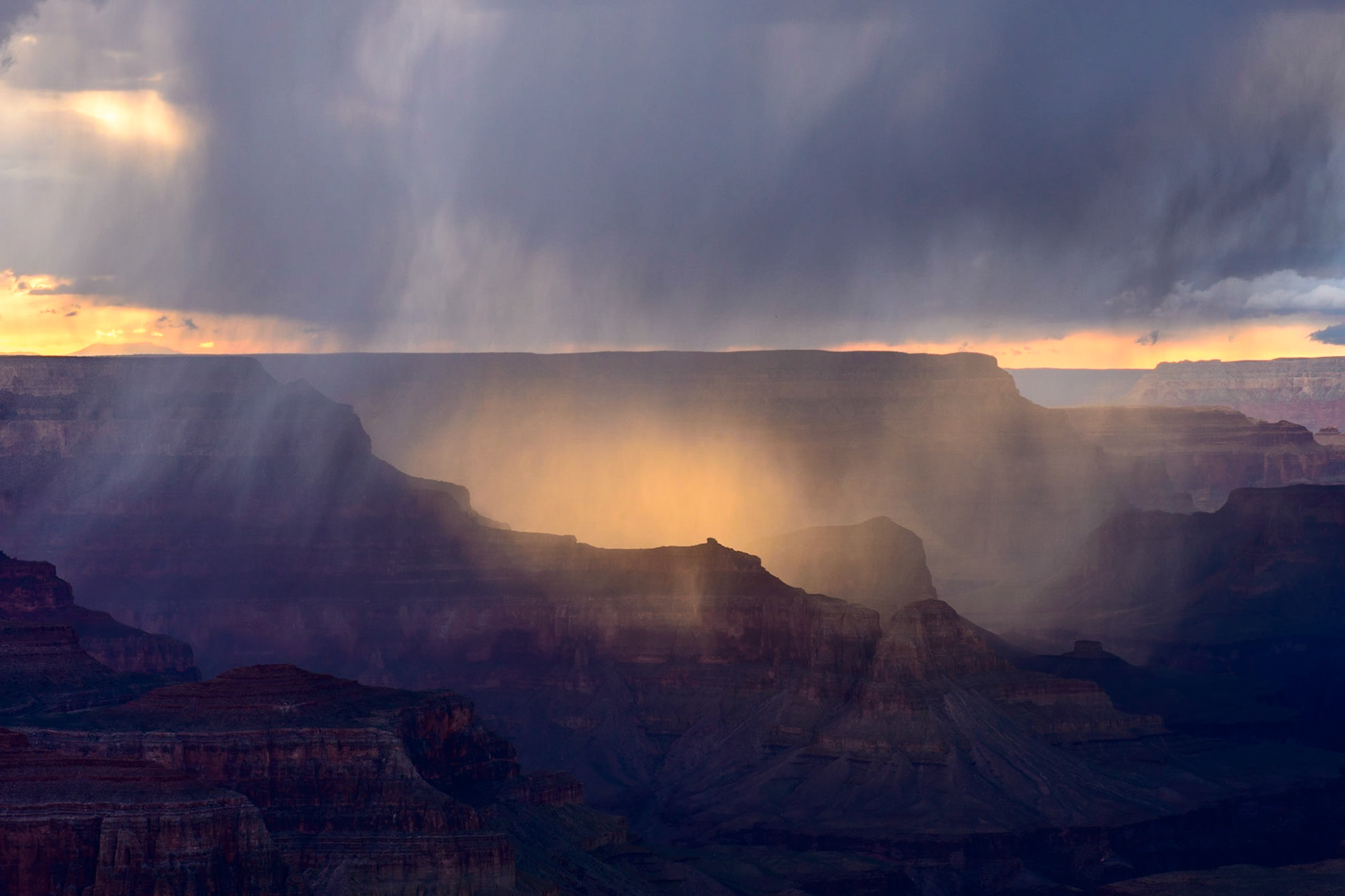 Light in the Storm