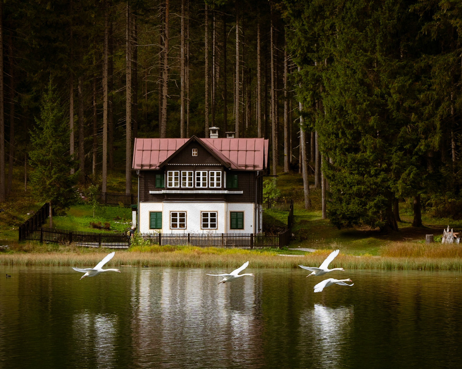 Italian Home