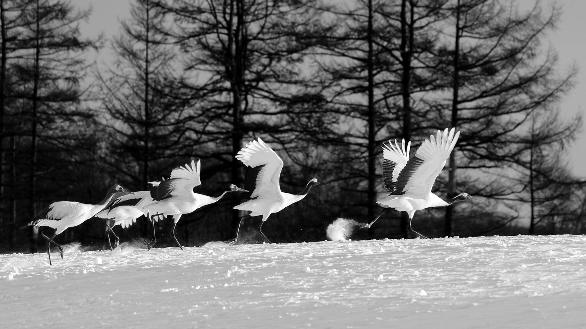 Takeoff