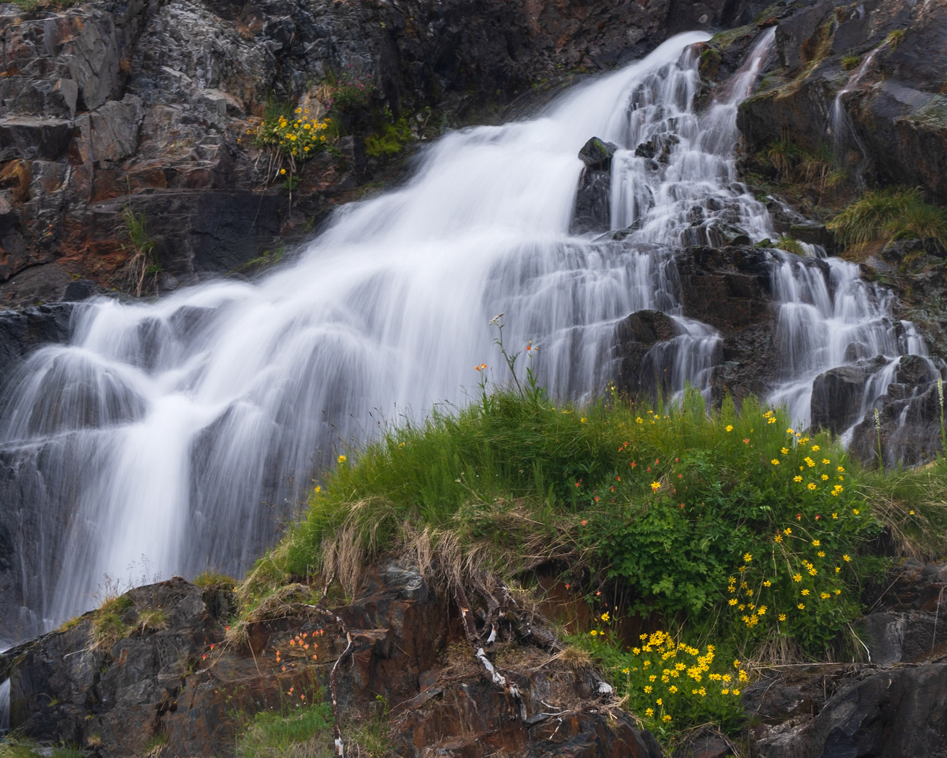 Summer Falls
