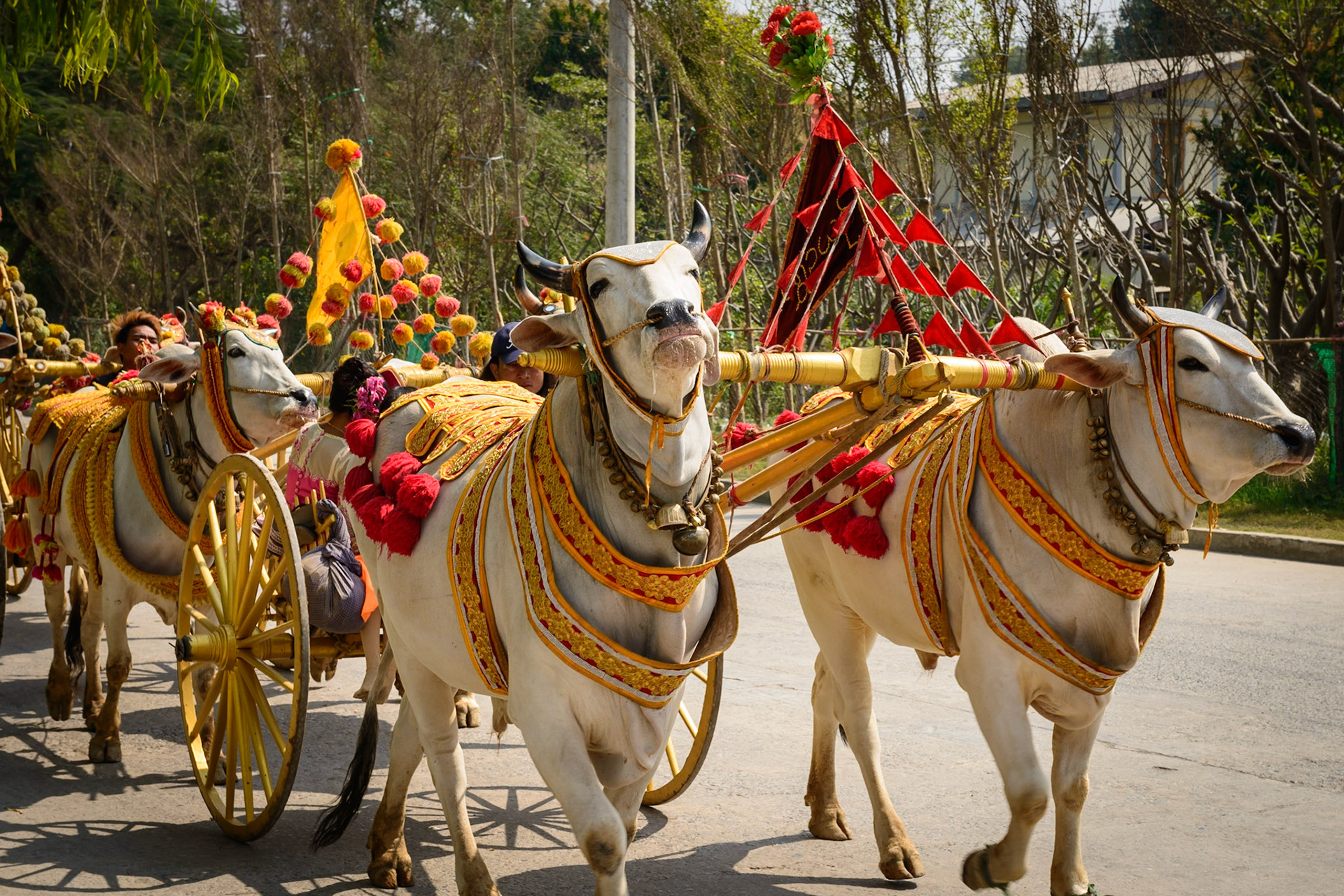 The Procession