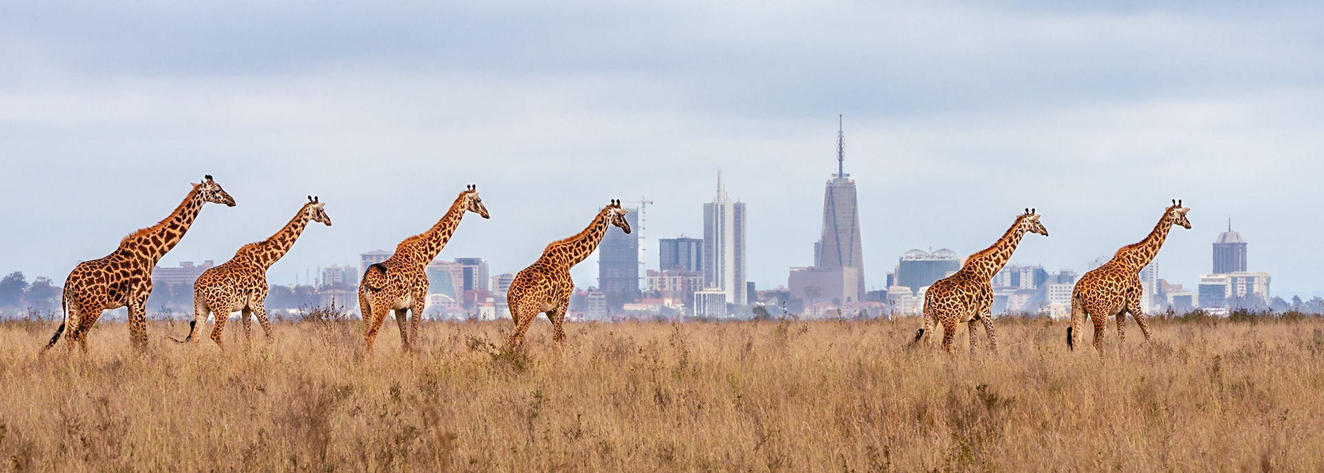 Urban Migration