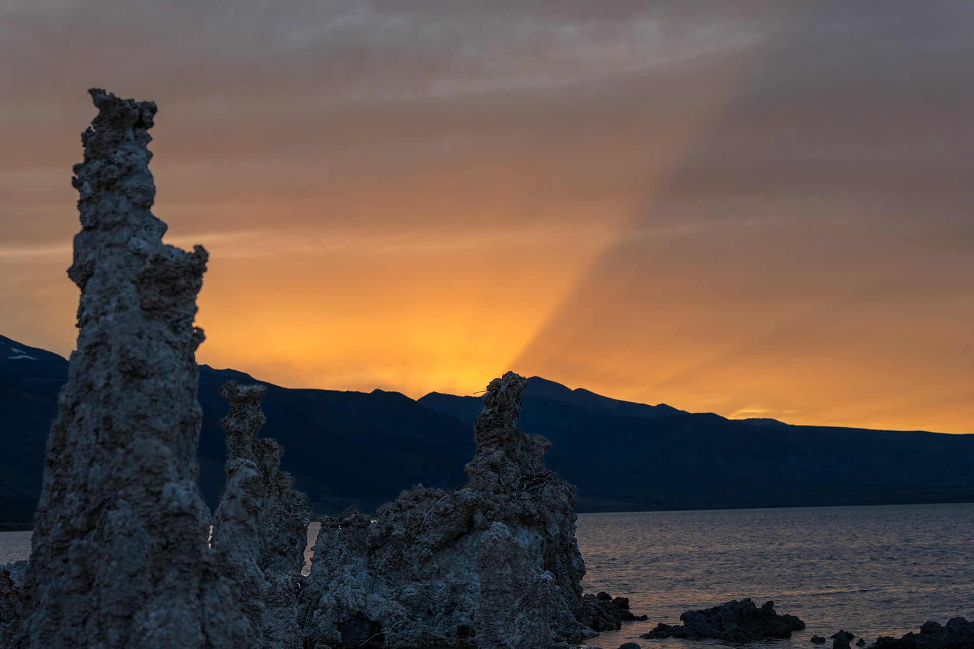 Evening Radiance