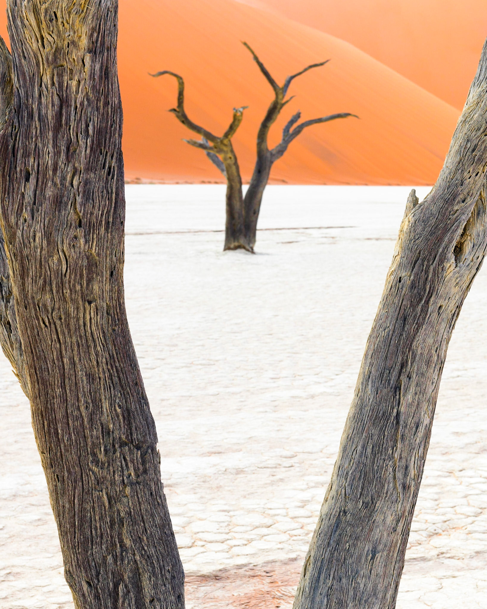 Deadvlei