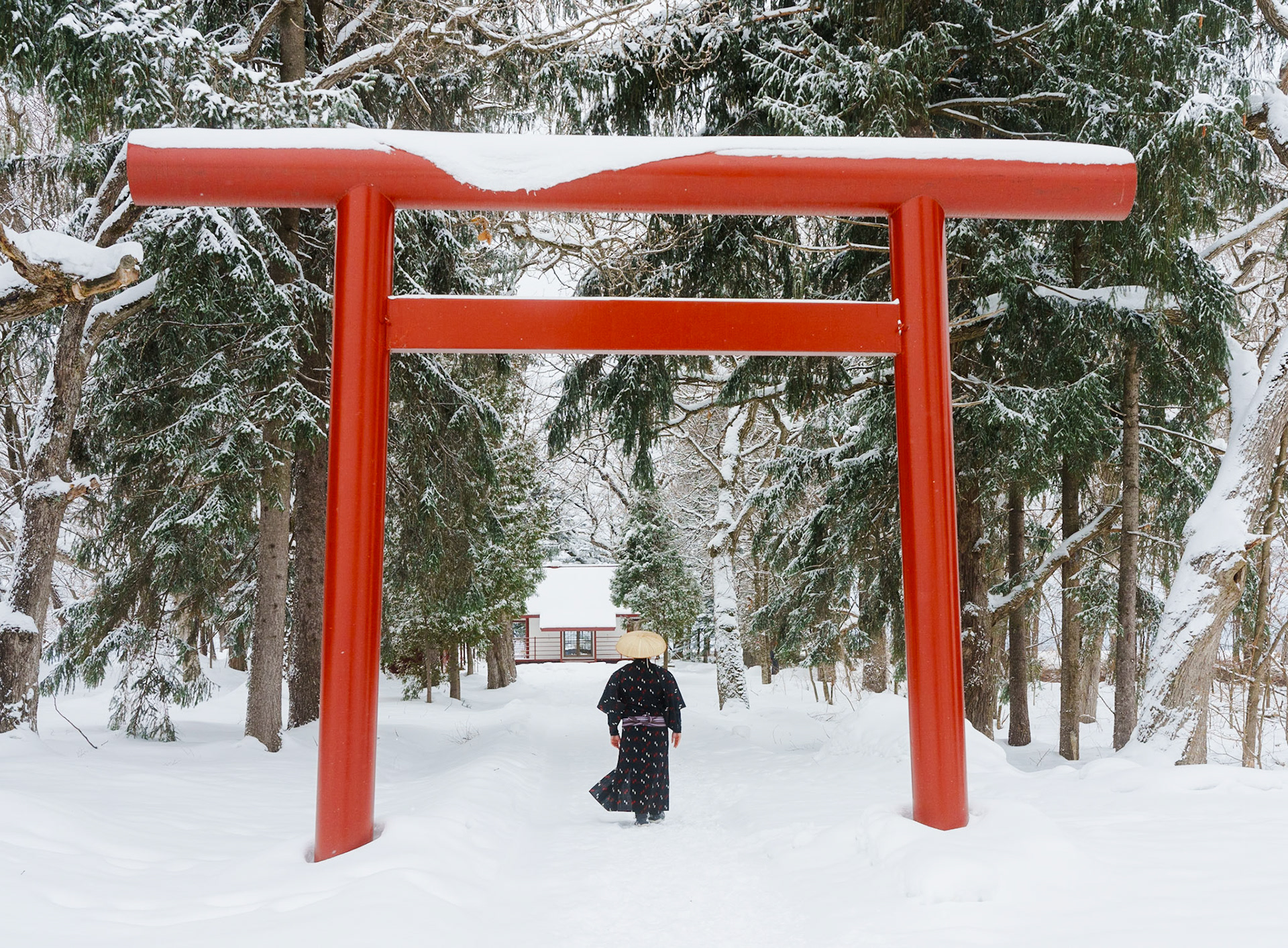 Torii Gate