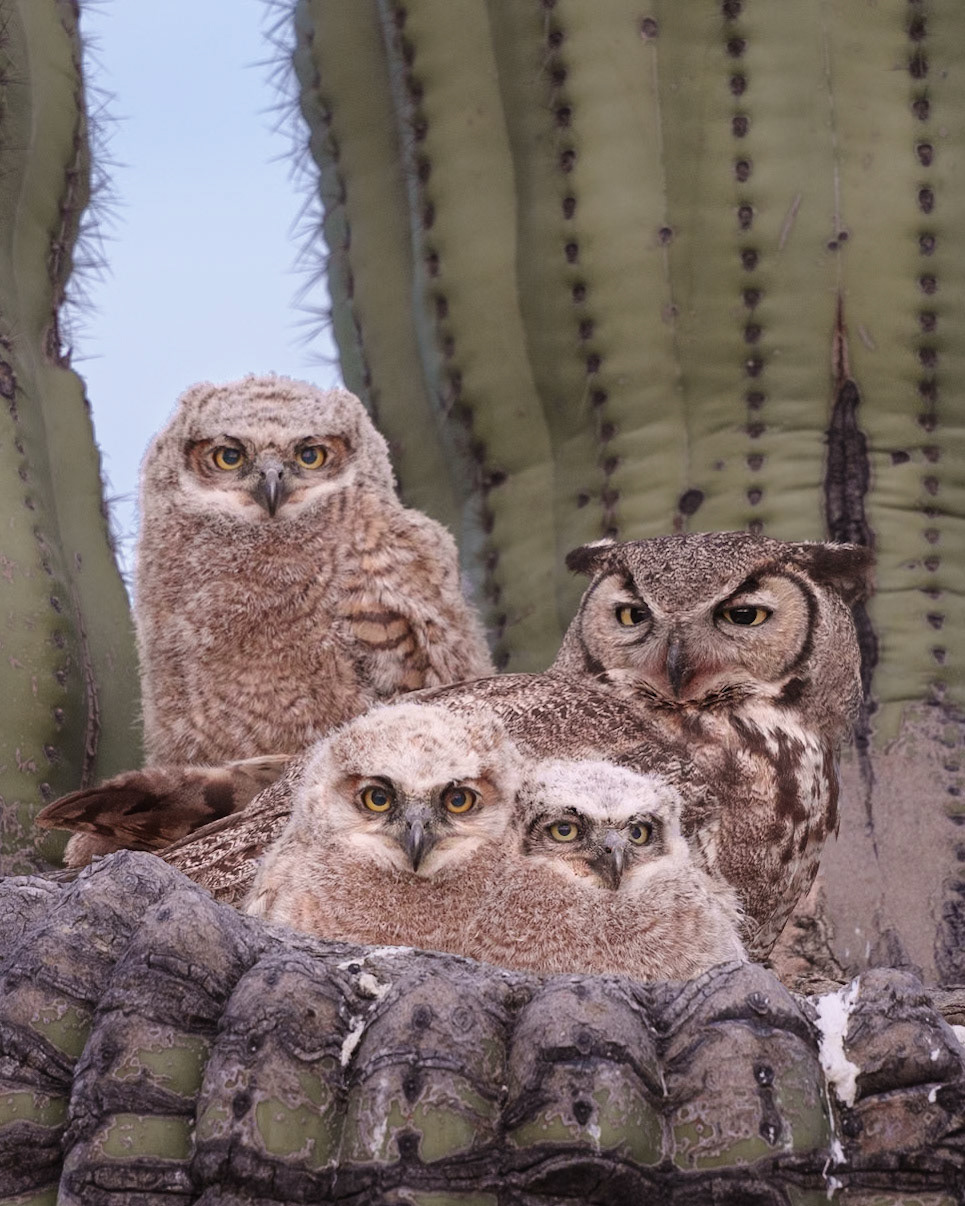 Family Portrait