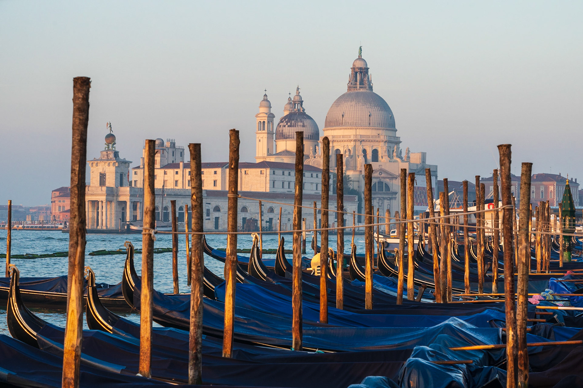 Gondolas Bathed in Morning Sun