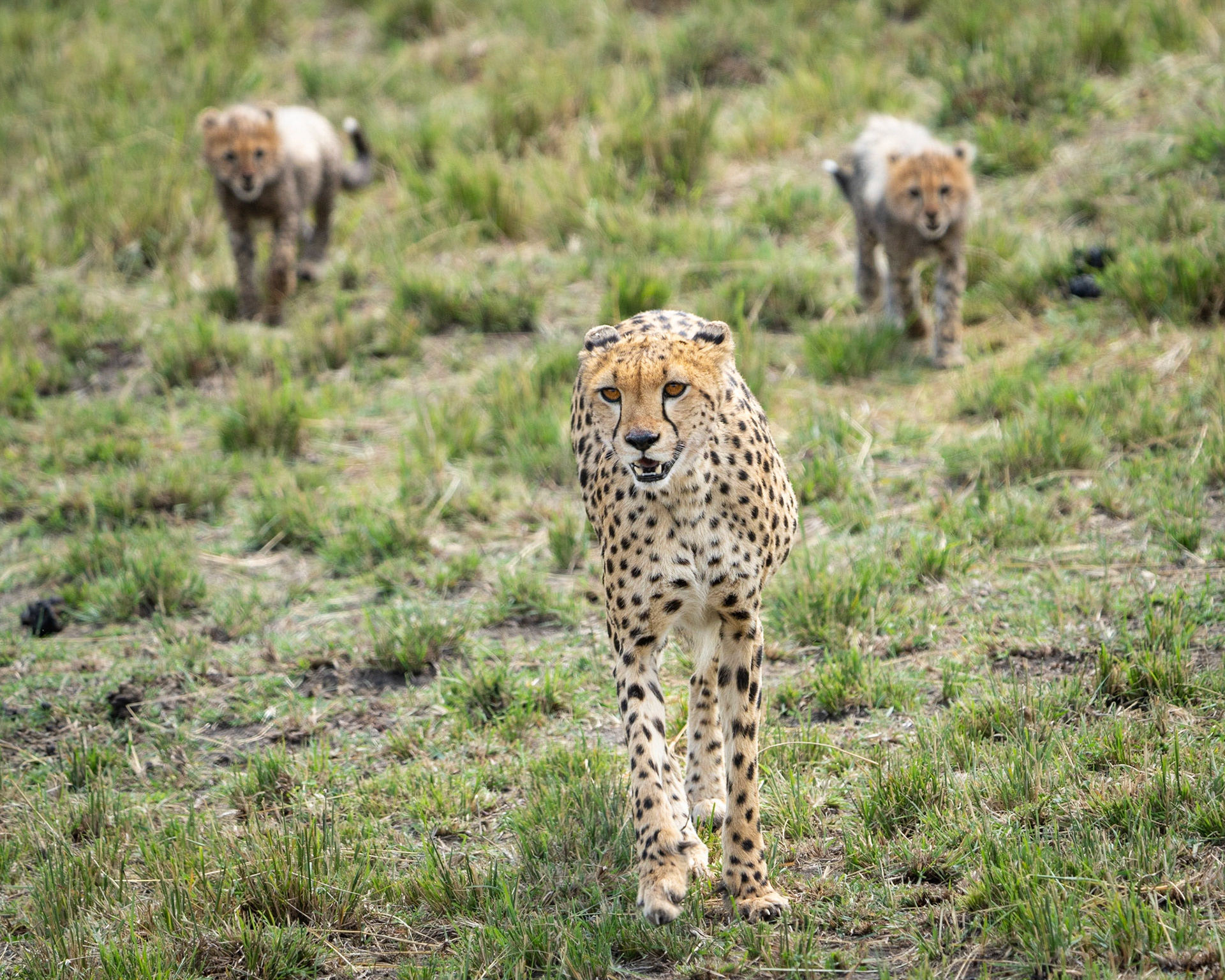 Leading the Way