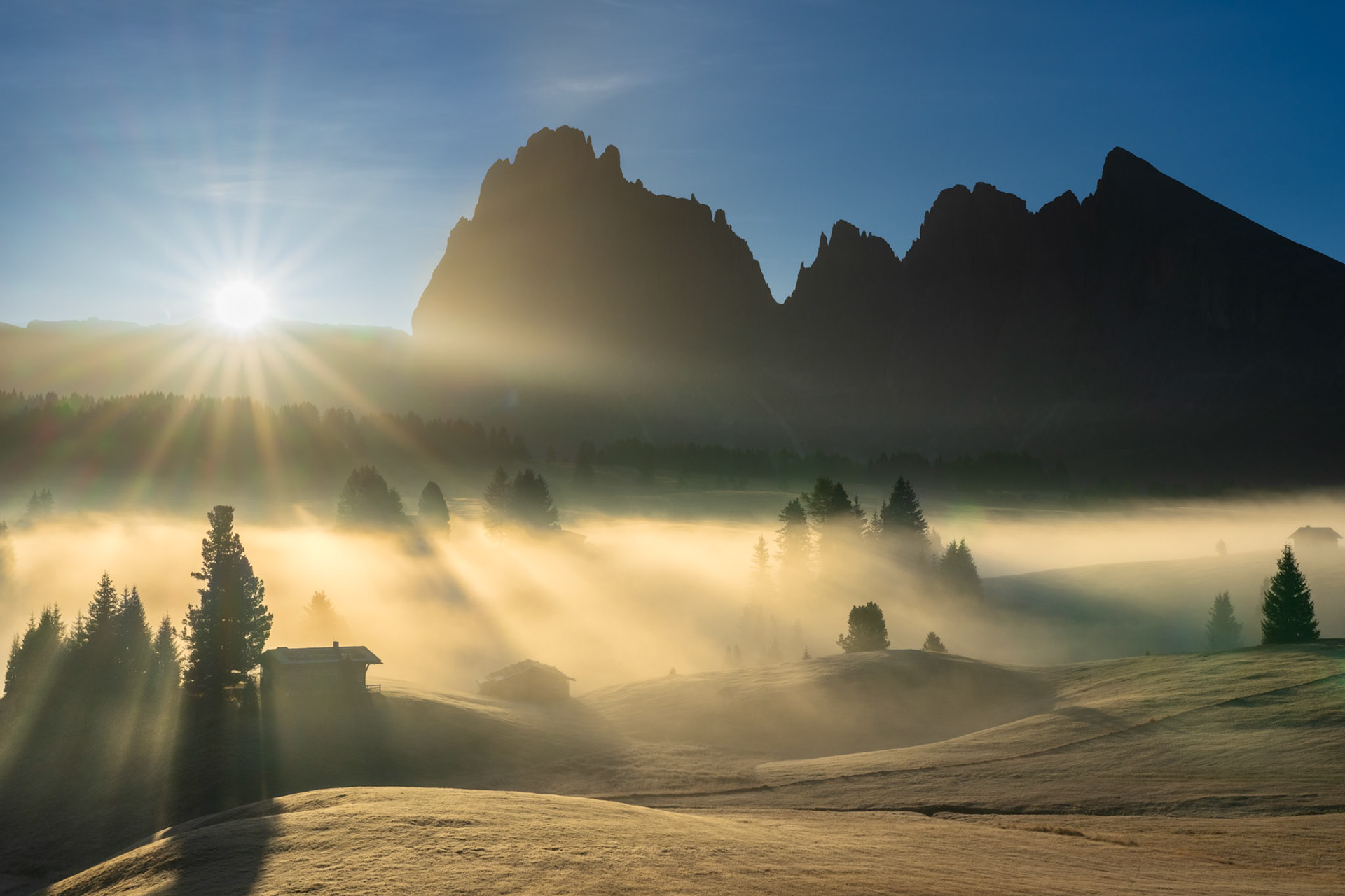 Fog Alit