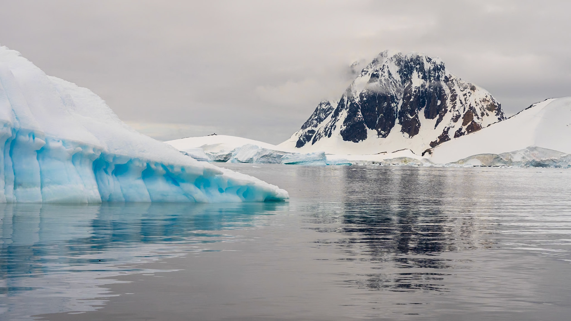 Port Charcot Scenic View