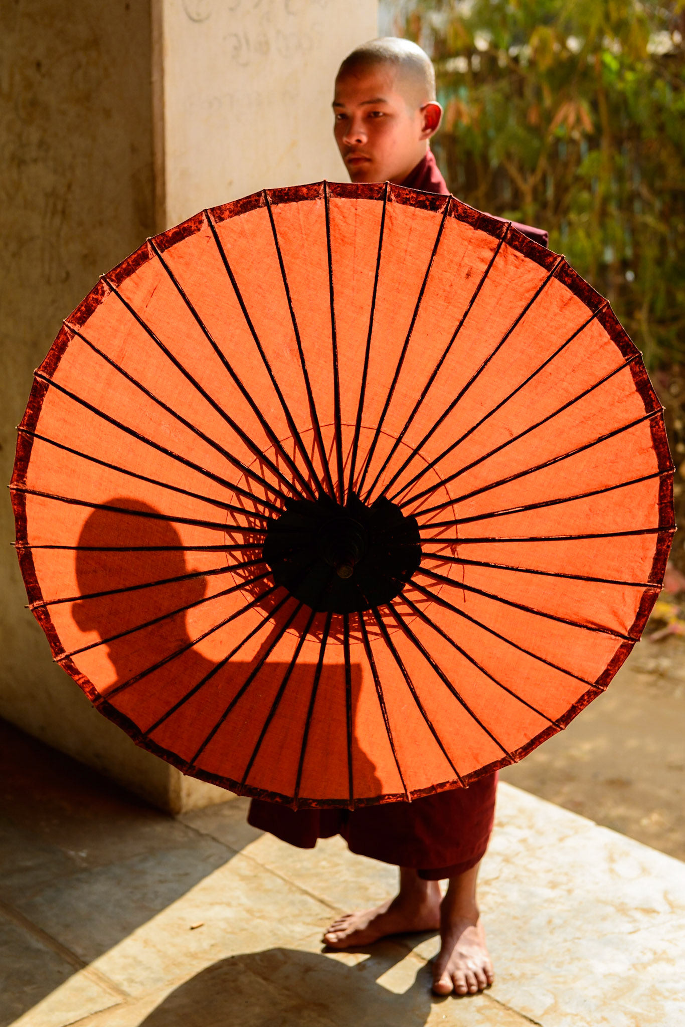 The Umbrella