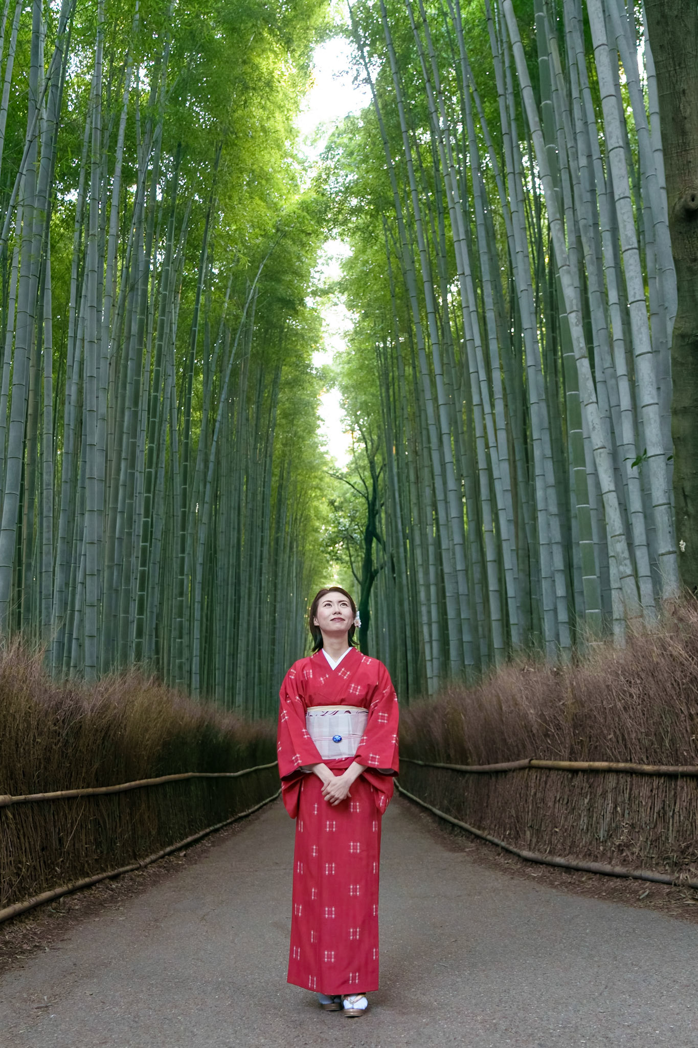 Among Giants